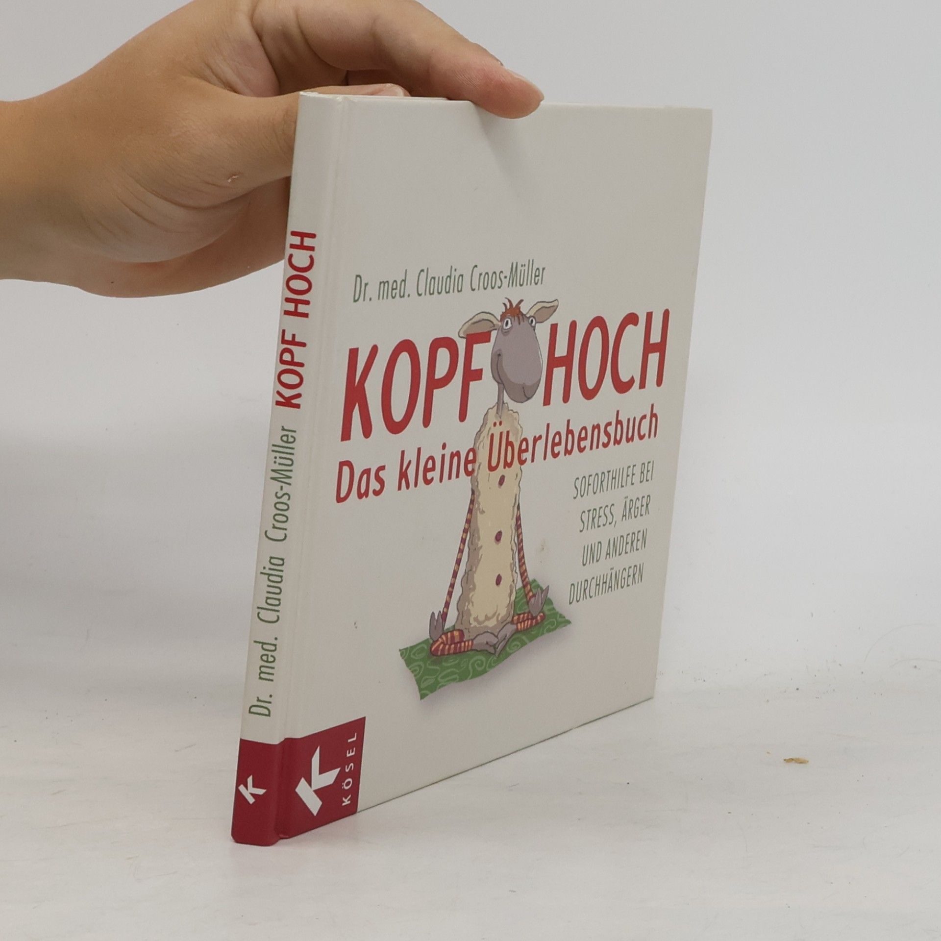Kopf hoch - das kleine Überlebensbuch