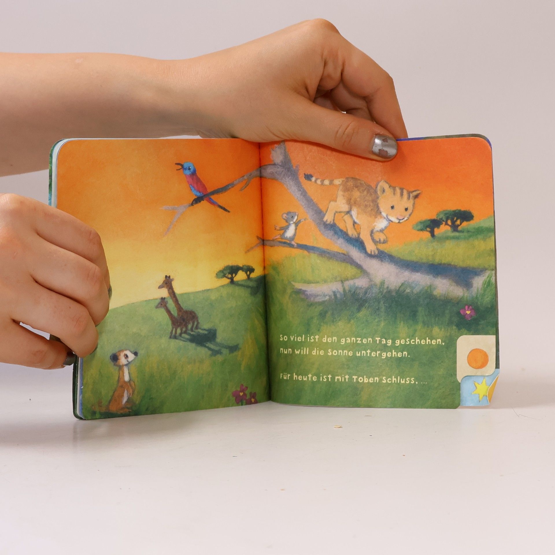 Susanne Lütje Baby Pixi (unkaputtbar) 104: Der kleine Löwe