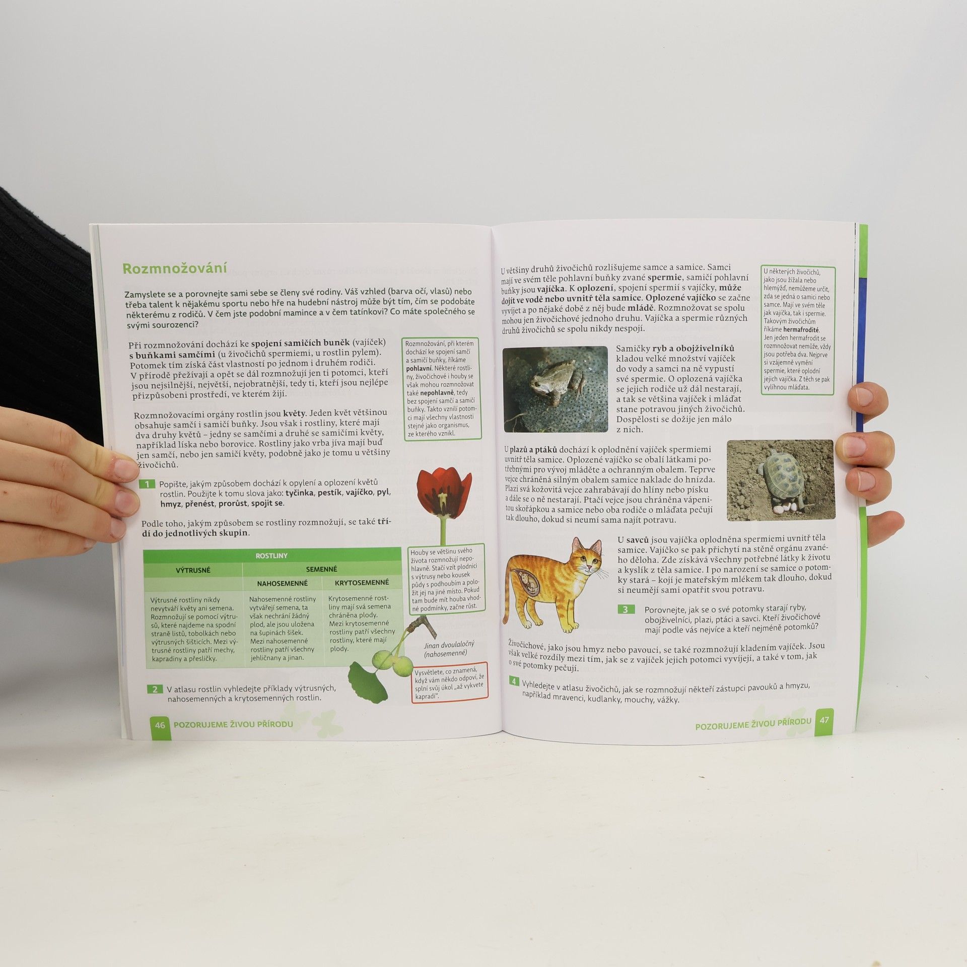 Autores varios Příroda 4 - Učebnice