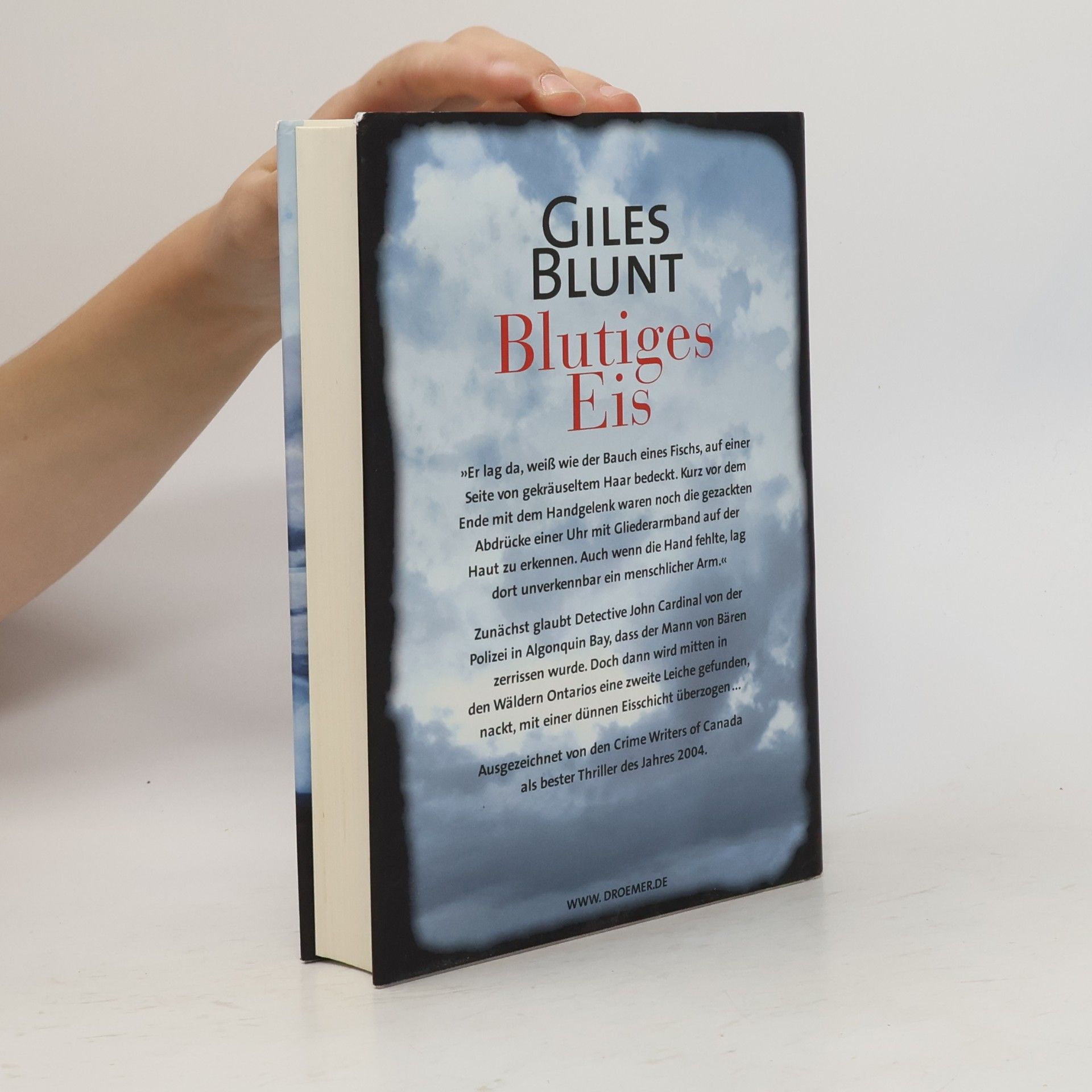 Giles Blunt Blutiges Eis