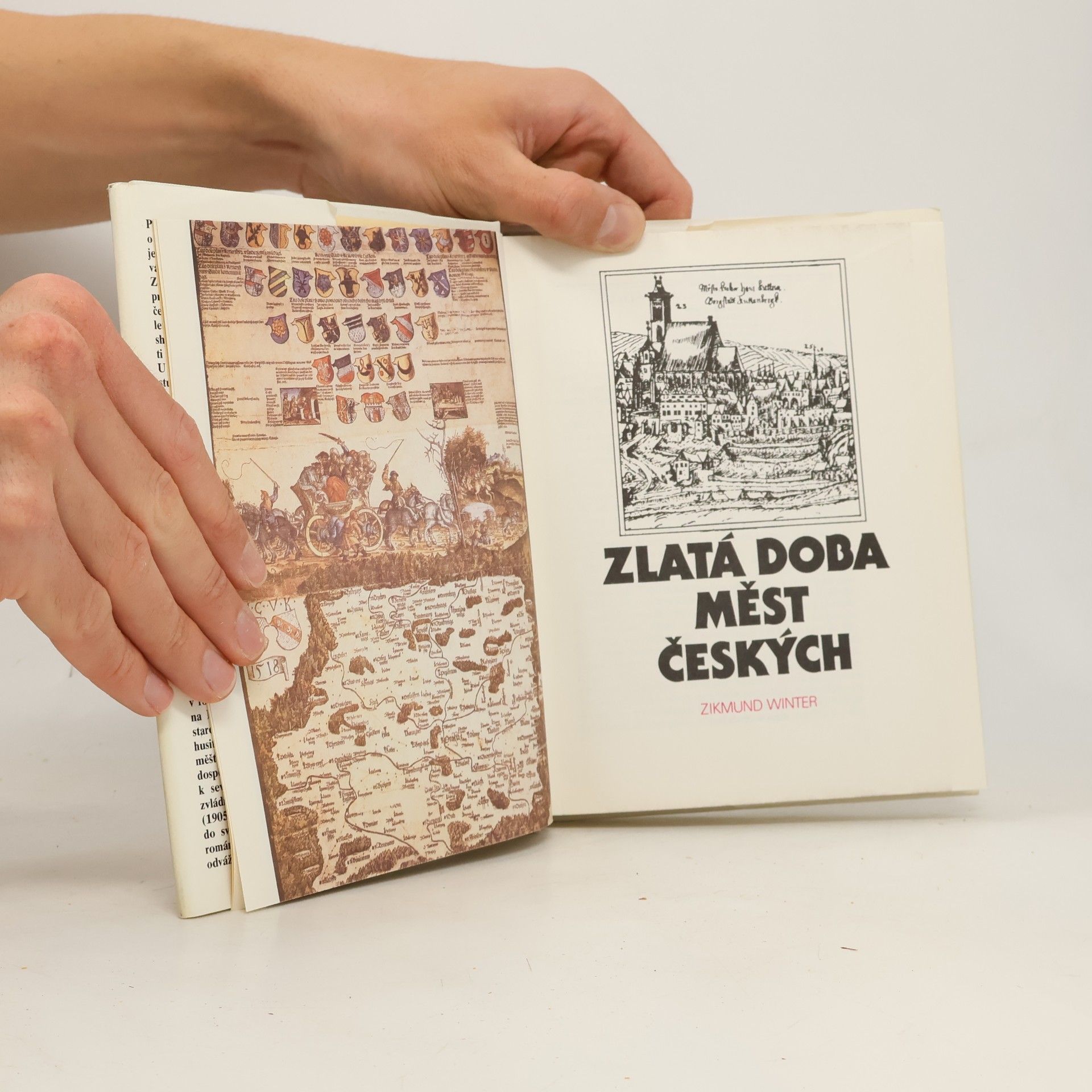 Zikmund Winter Zlatá doba měst českých