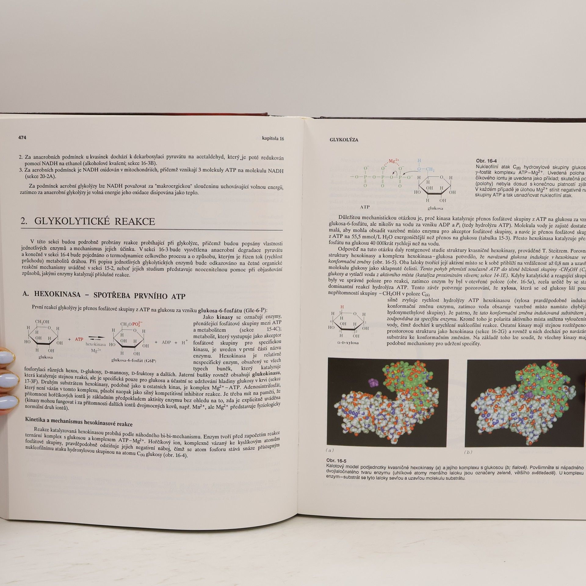 Donald Voet Biochemie