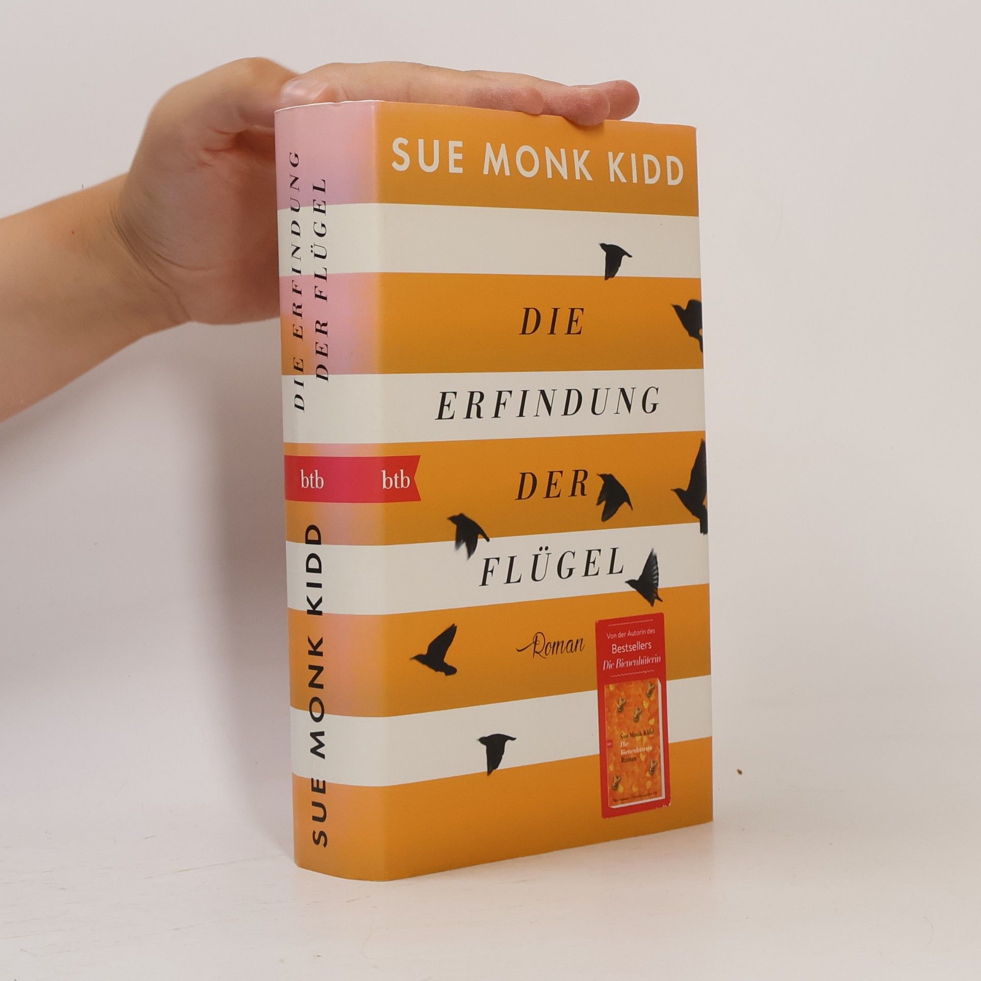 Sue Monk Kidd Die Erfindung der Flügel