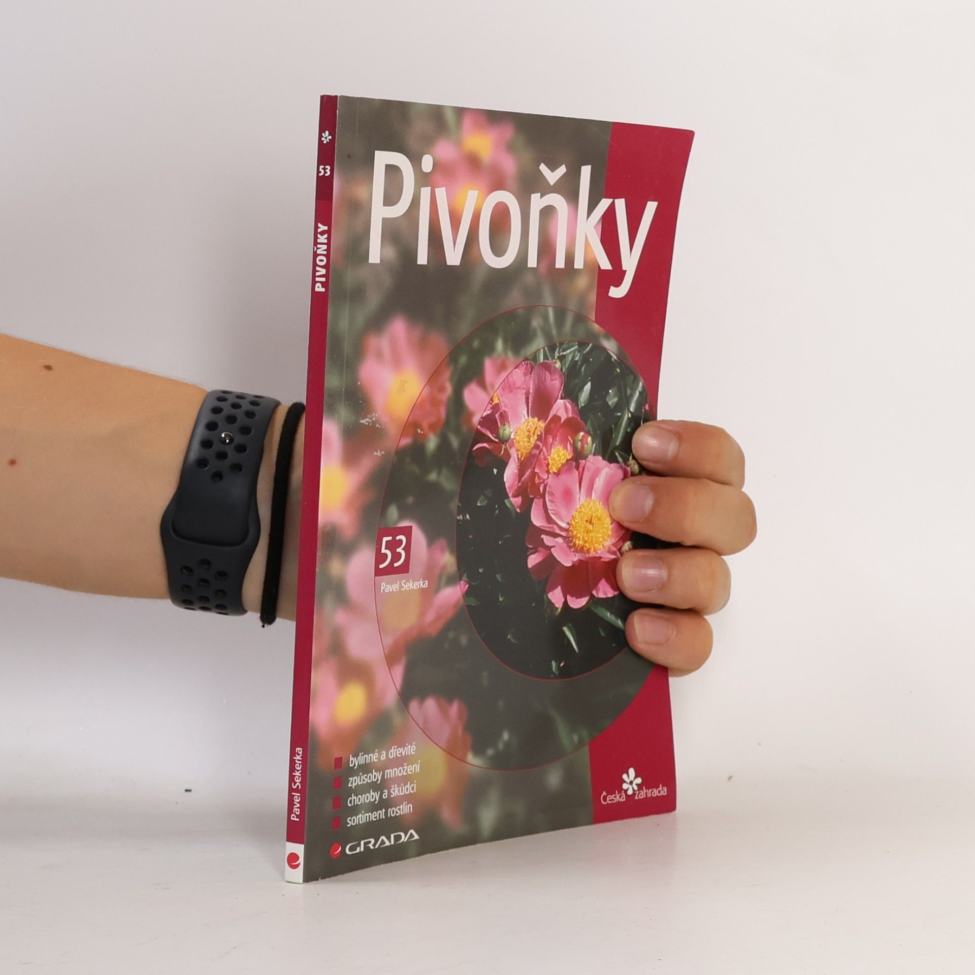 Pavel Sekerka Pivoňky