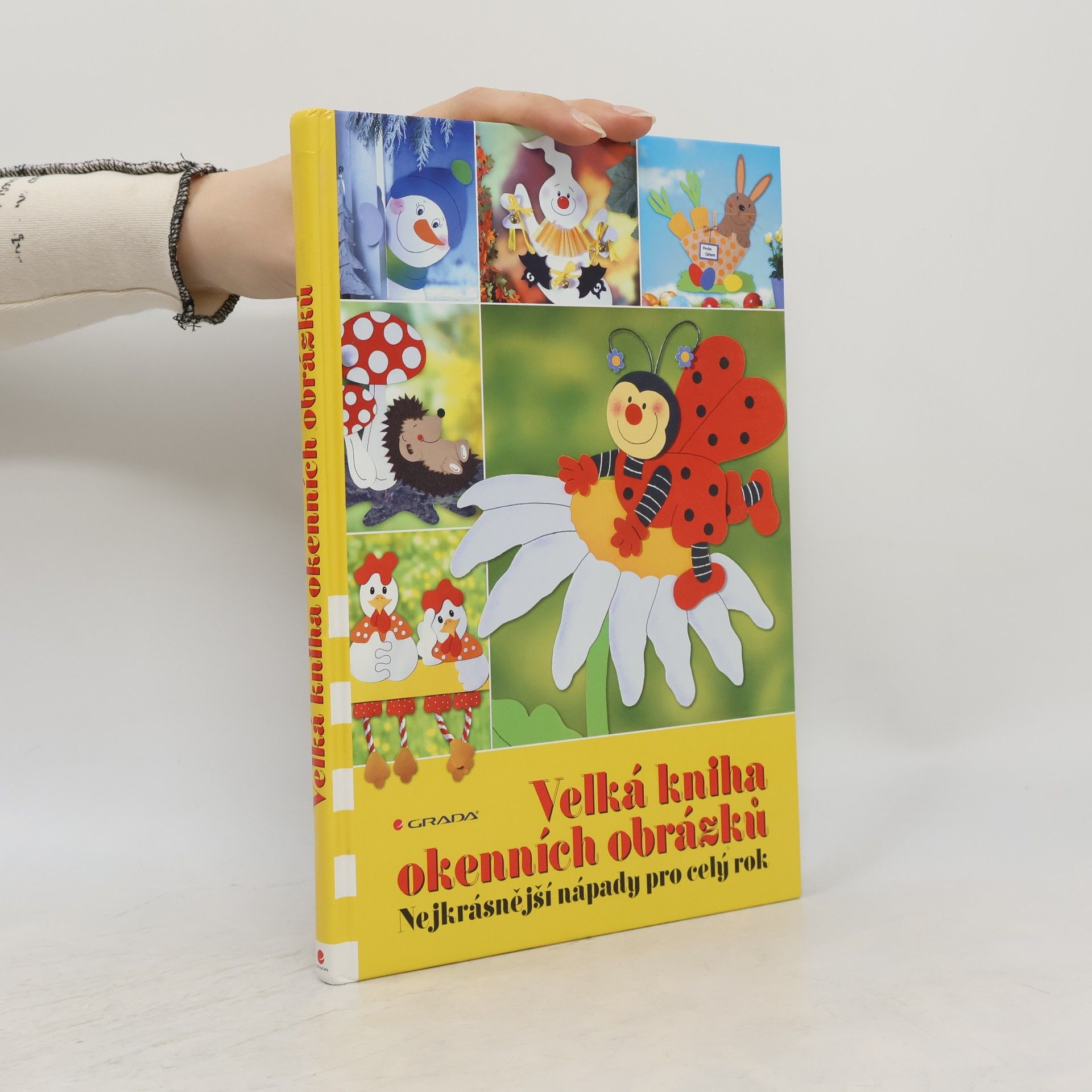 Autorenkollektiv Velká kniha okenních obrázků