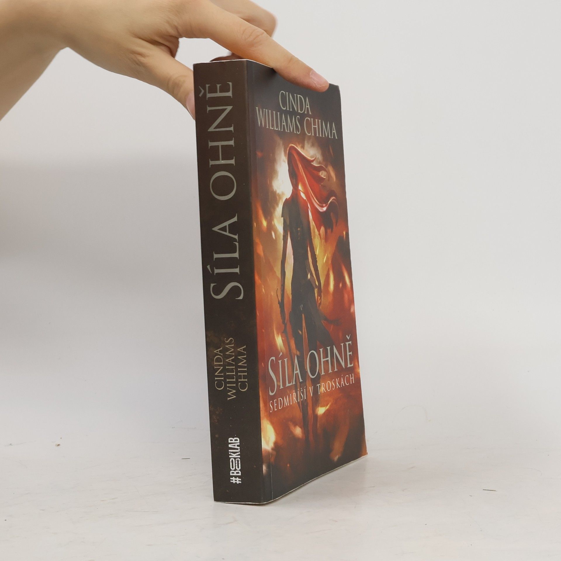 Cinda Williams Chima Sedmiříší v troskách. Síla ohně