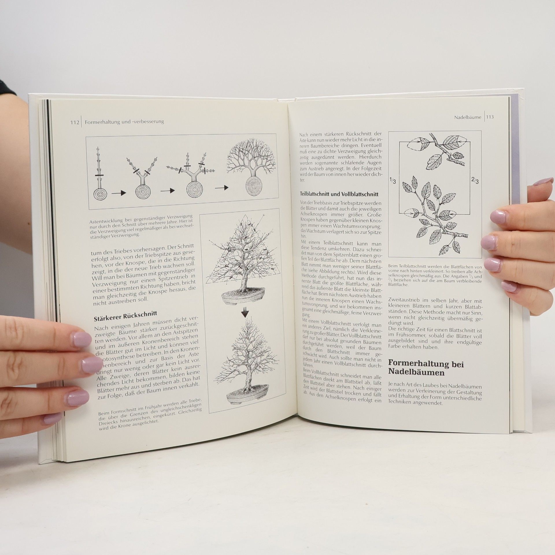 Horst Stahl Grundkurs Bonsai