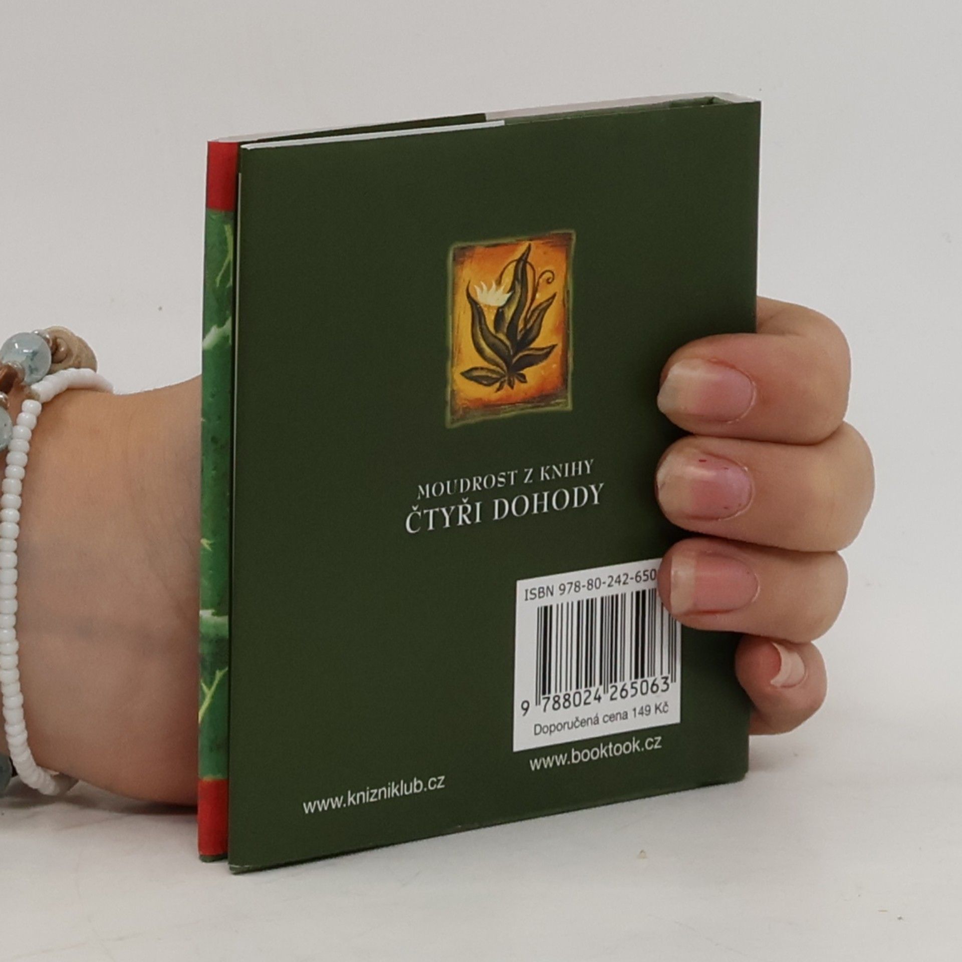 Don Miguel Ruiz Moudrost z knihy Čtyři dohody