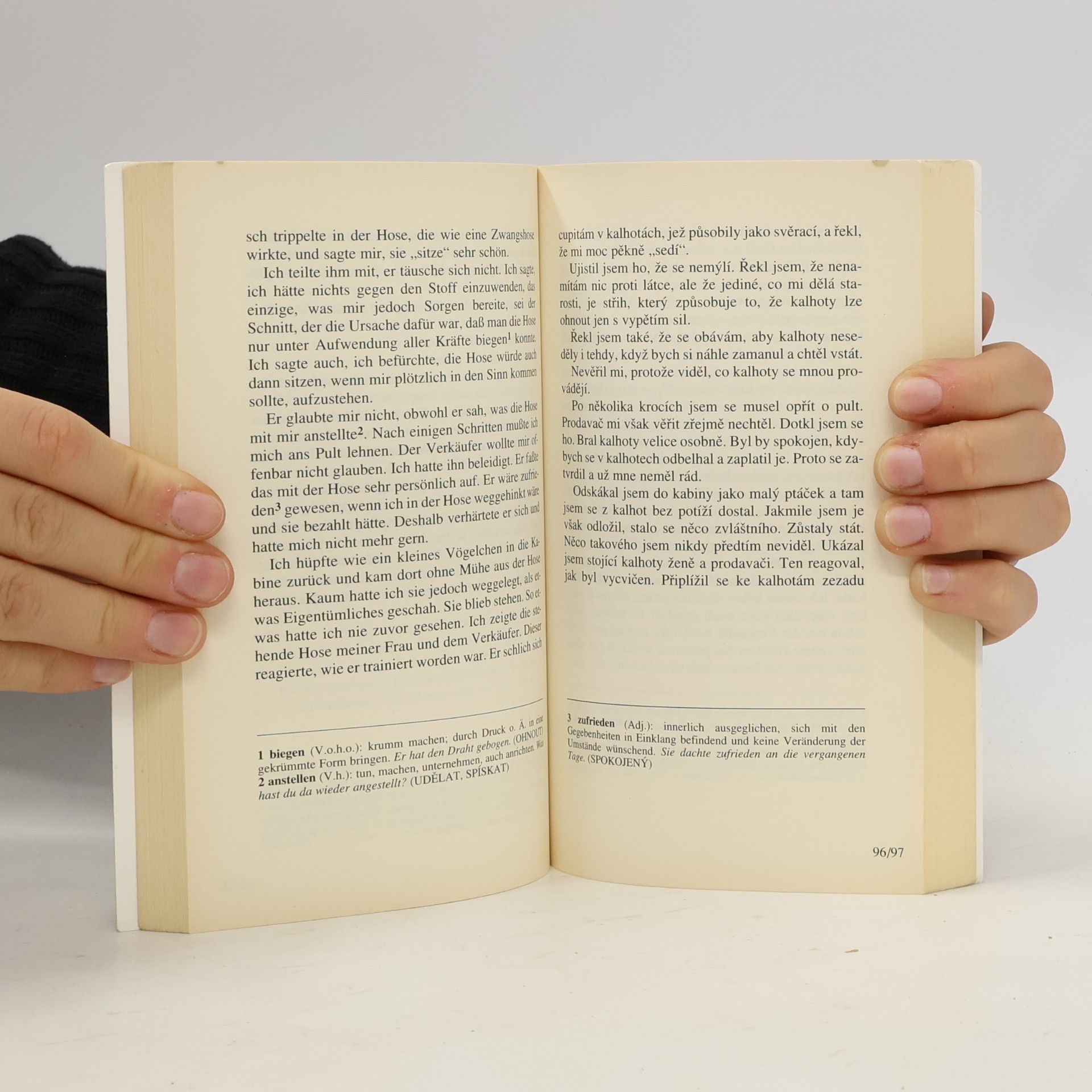 Ivan Kraus Odpoledne s labutí = Nachmittag mit Schwan