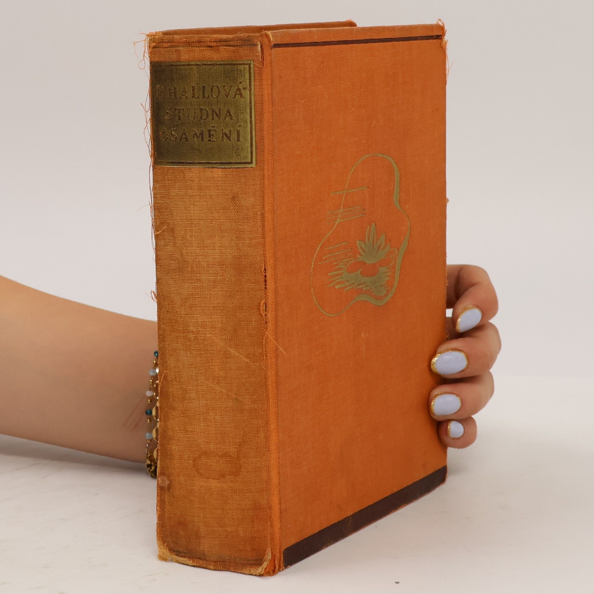 Radclyffe Hall Studna osamění