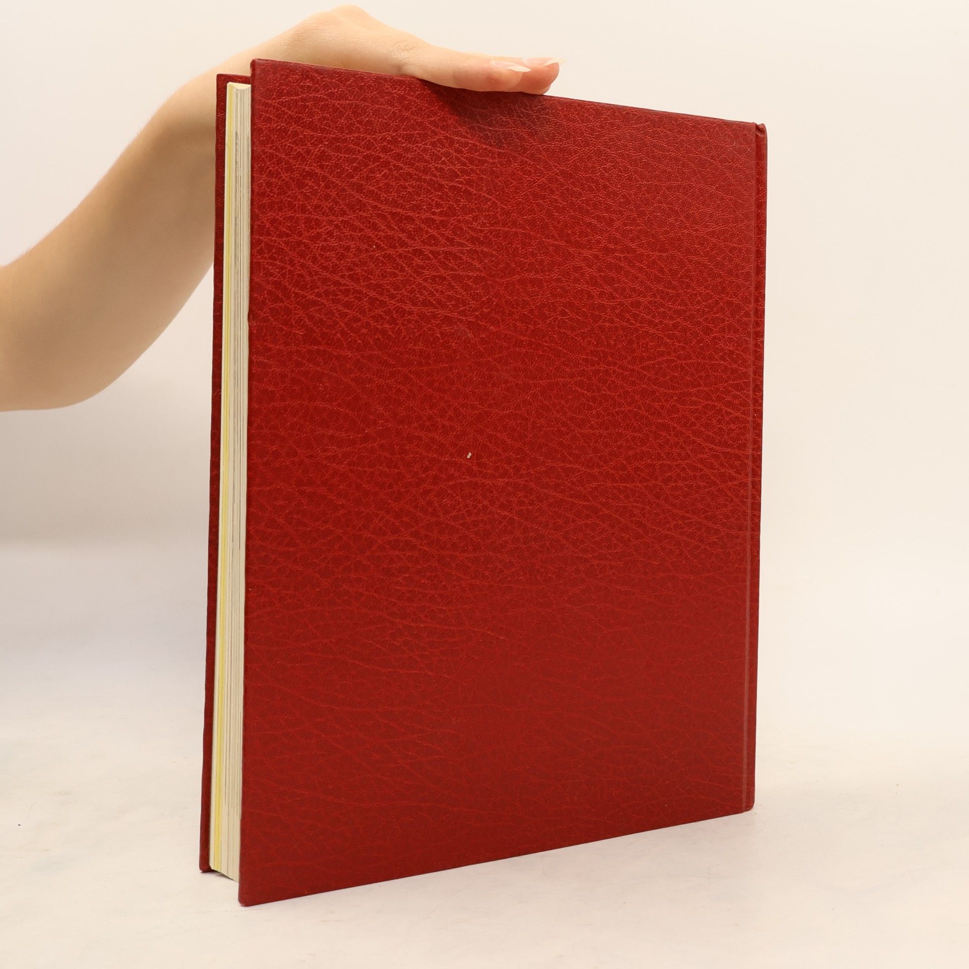 Various authors Die Bibel und das Christentum 6