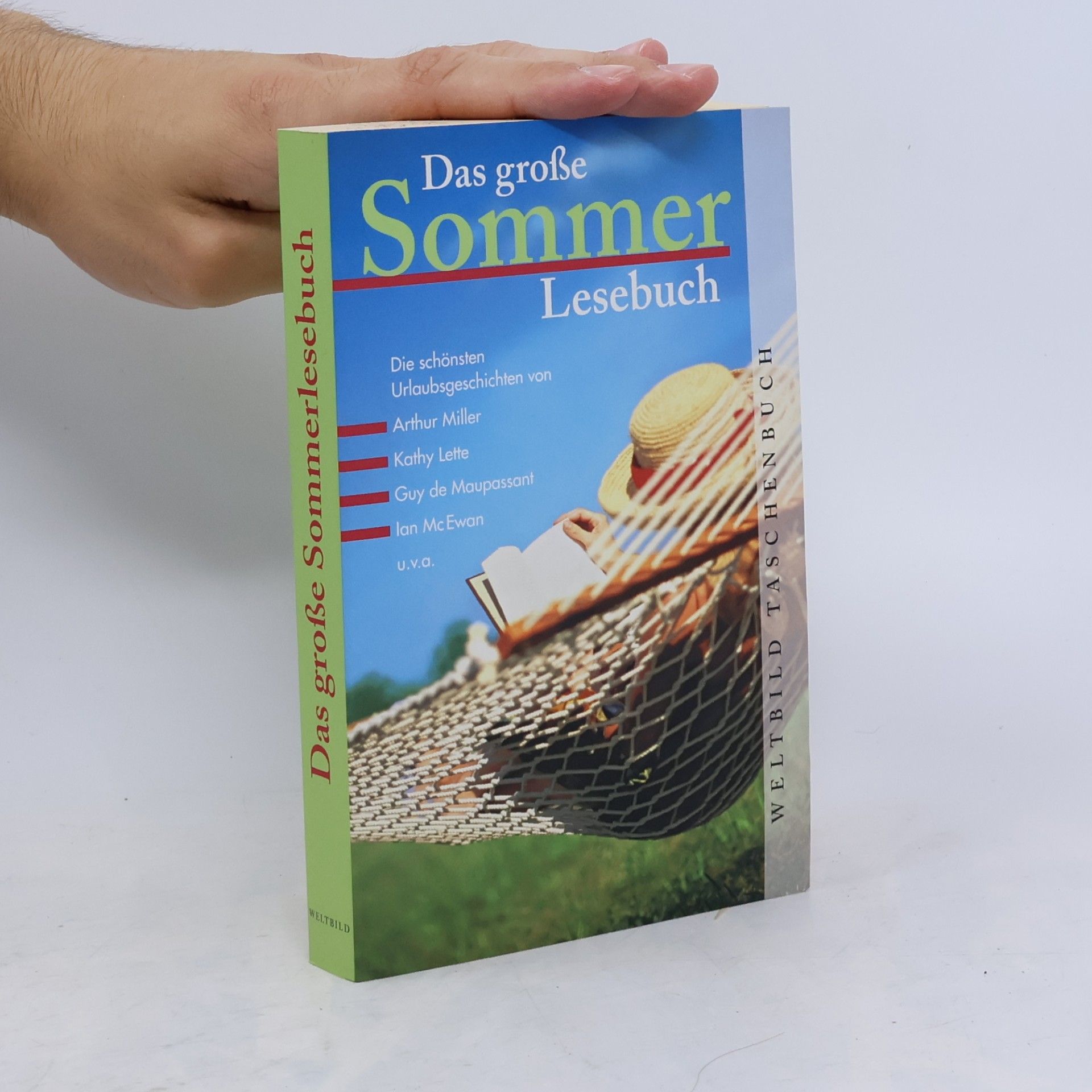 Holger Wolandt Das große Sommerlesebuch
