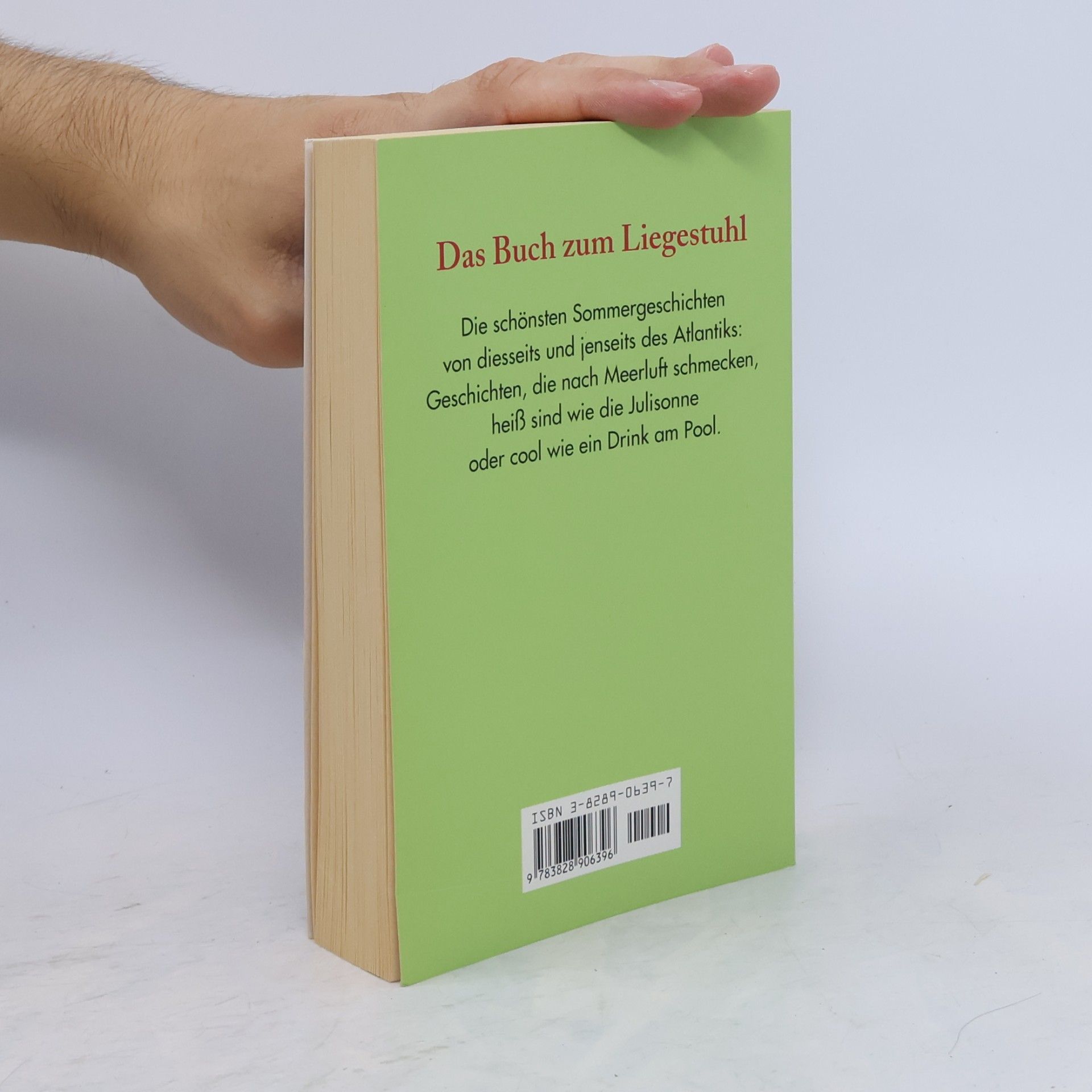 Holger Wolandt Das große Sommerlesebuch