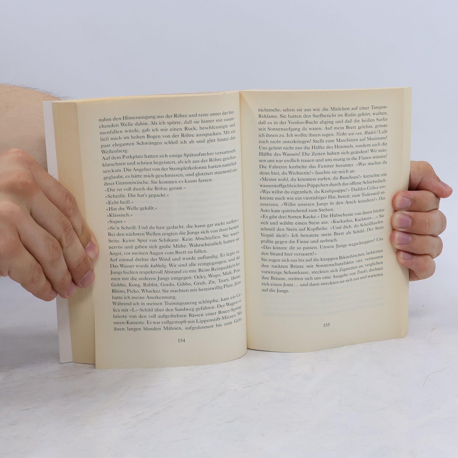 Holger Wolandt Das große Sommerlesebuch