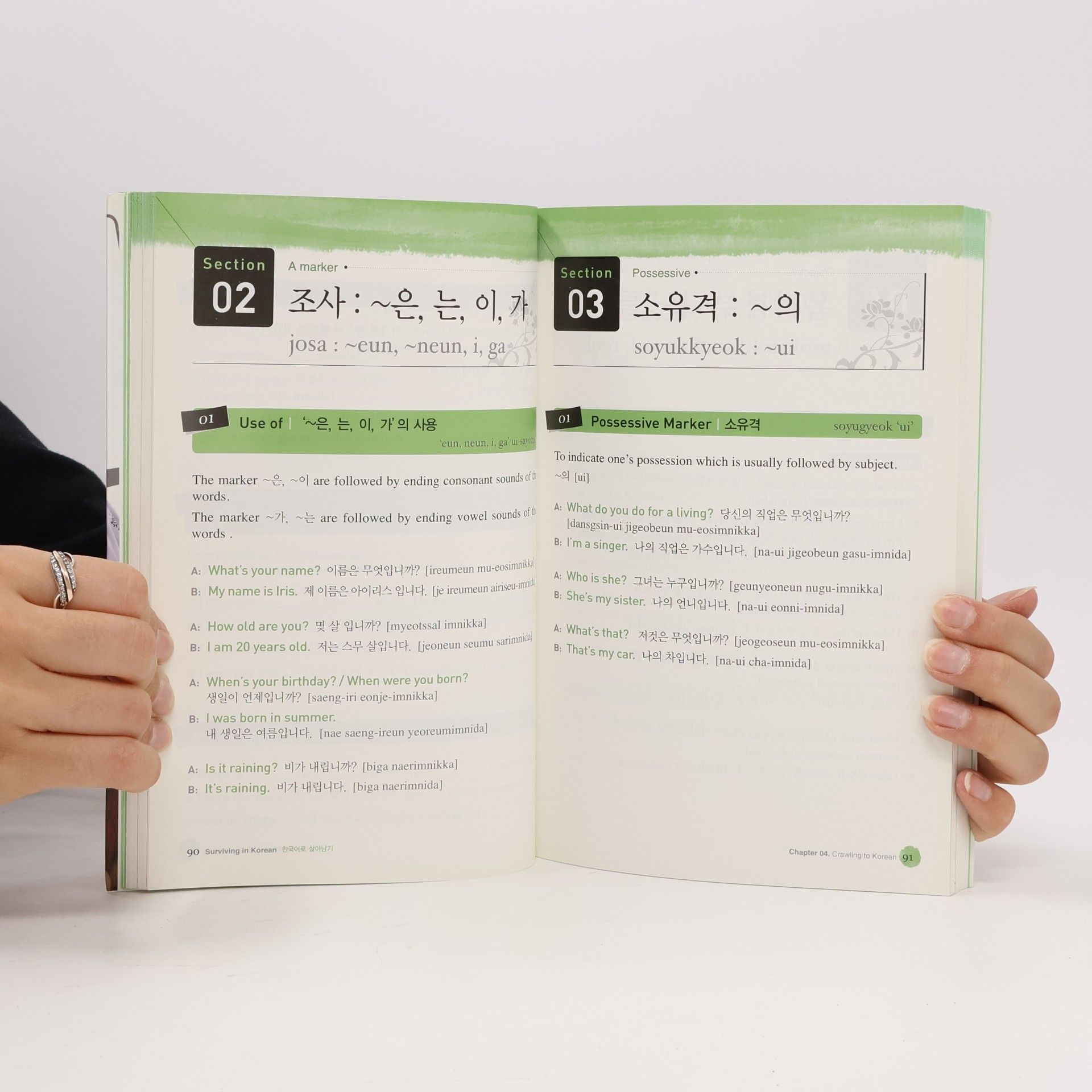 Yeong Ju Lim Surviving in Korean