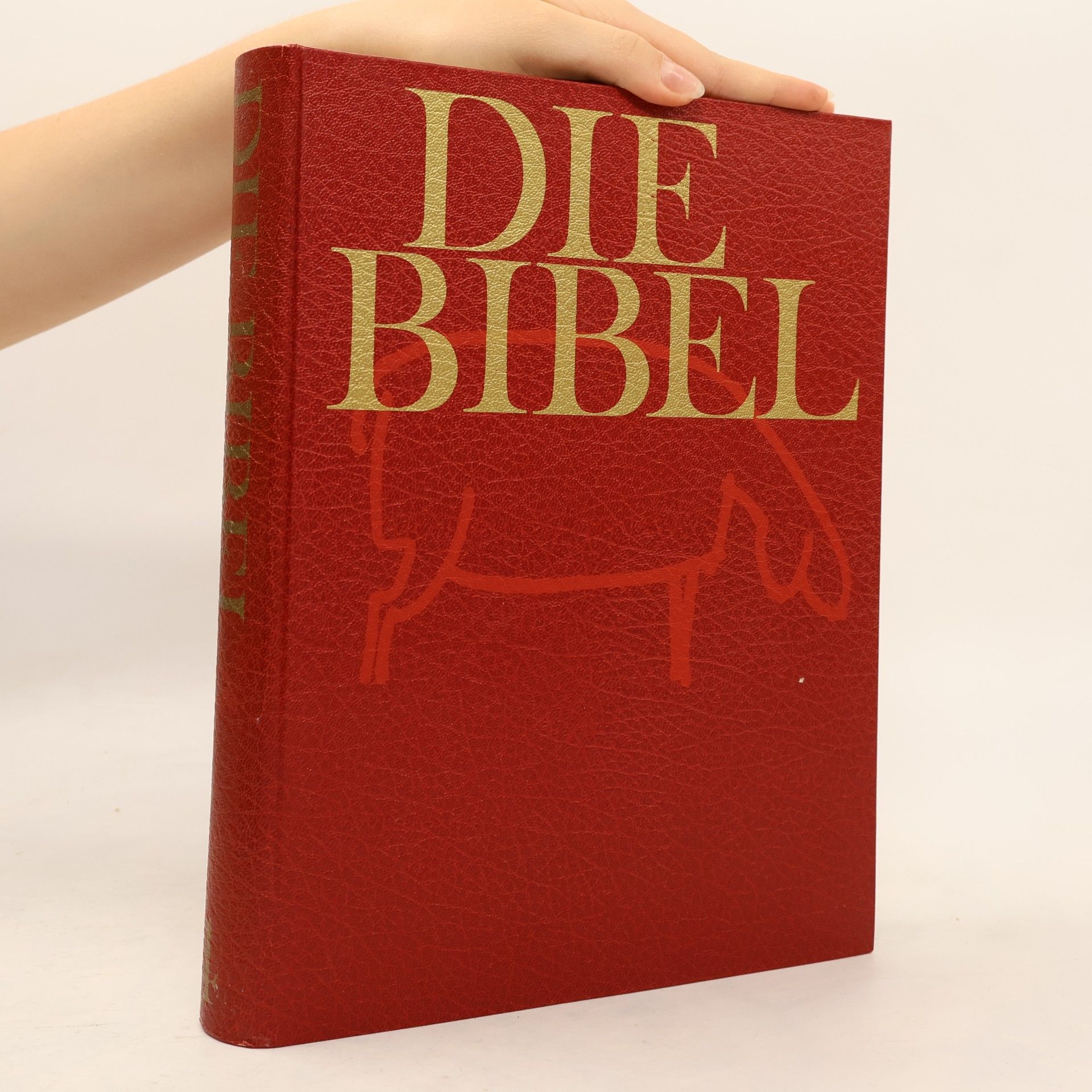 Autorenkollektiv Die Bibel 4