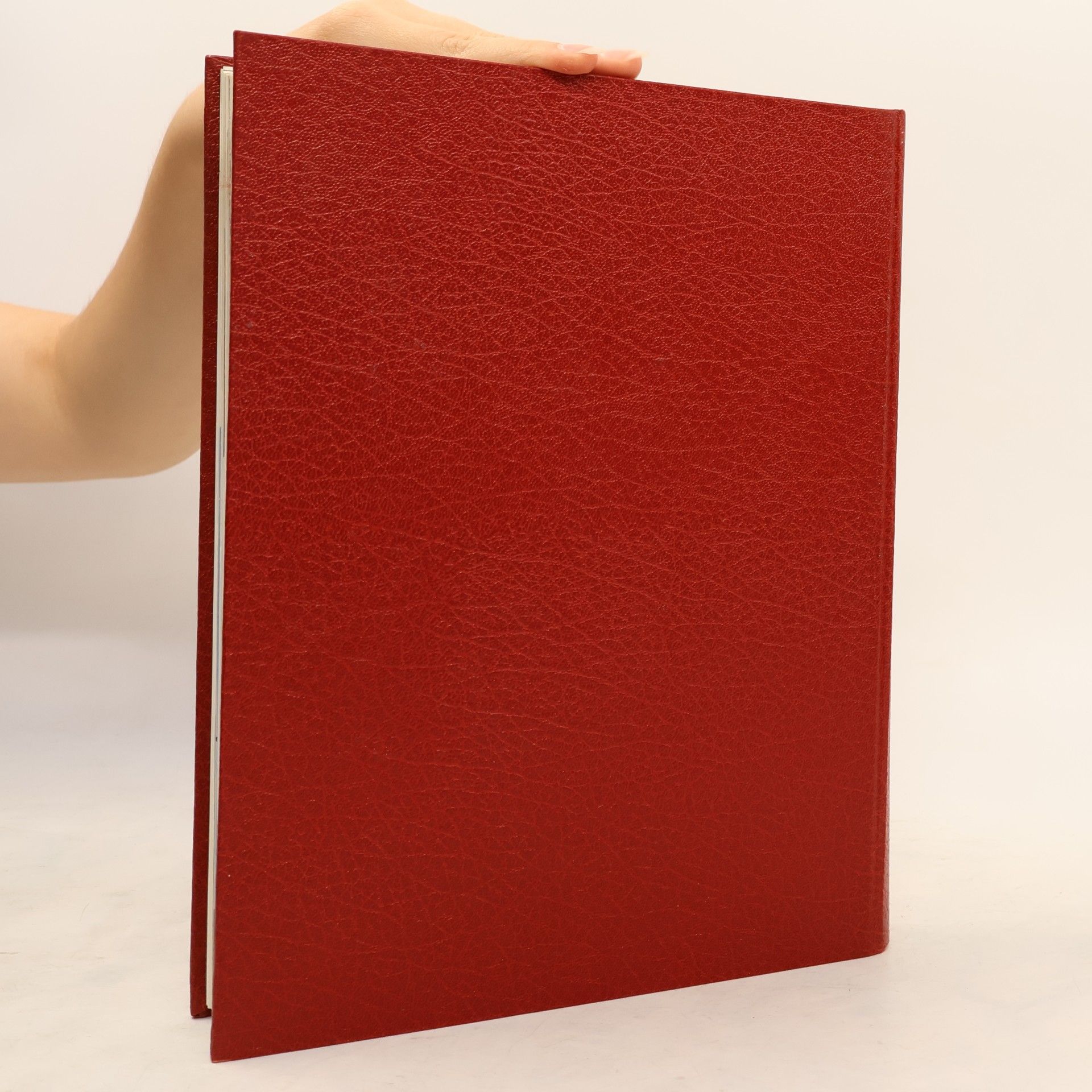 Autorenkollektiv Die Bibel 4