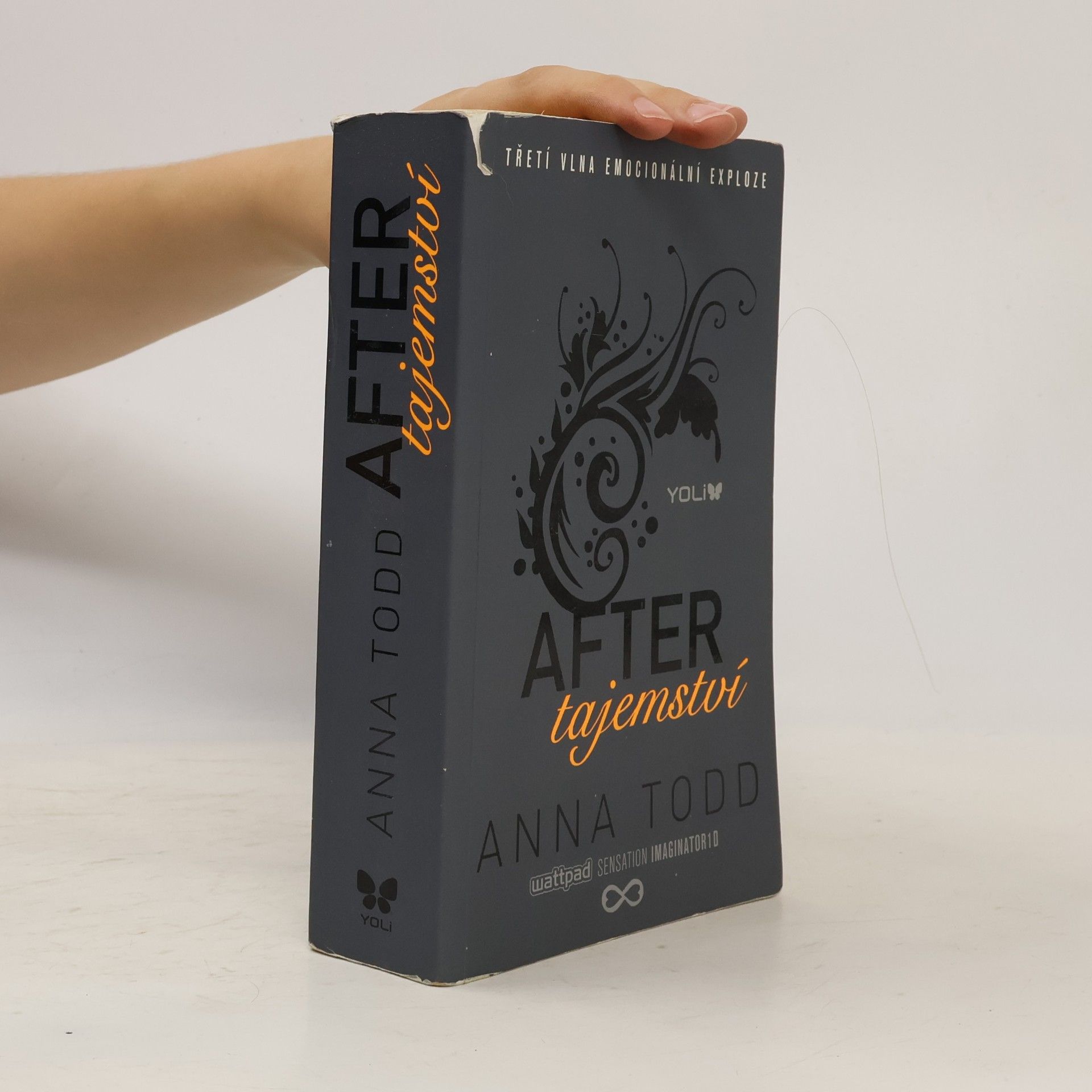 Anna Todd After. Tajemství