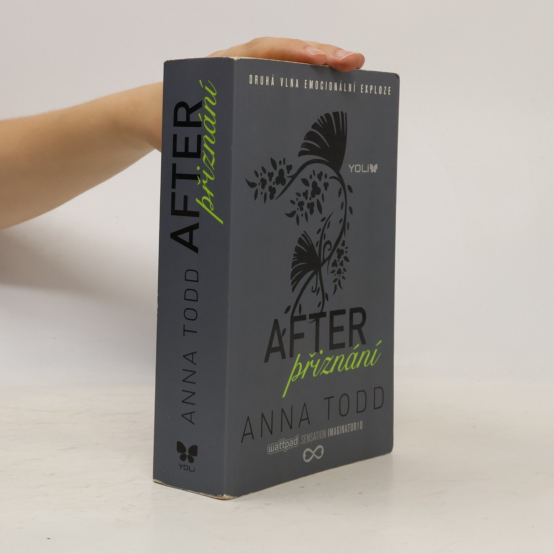 Anna Todd After. Přiznání