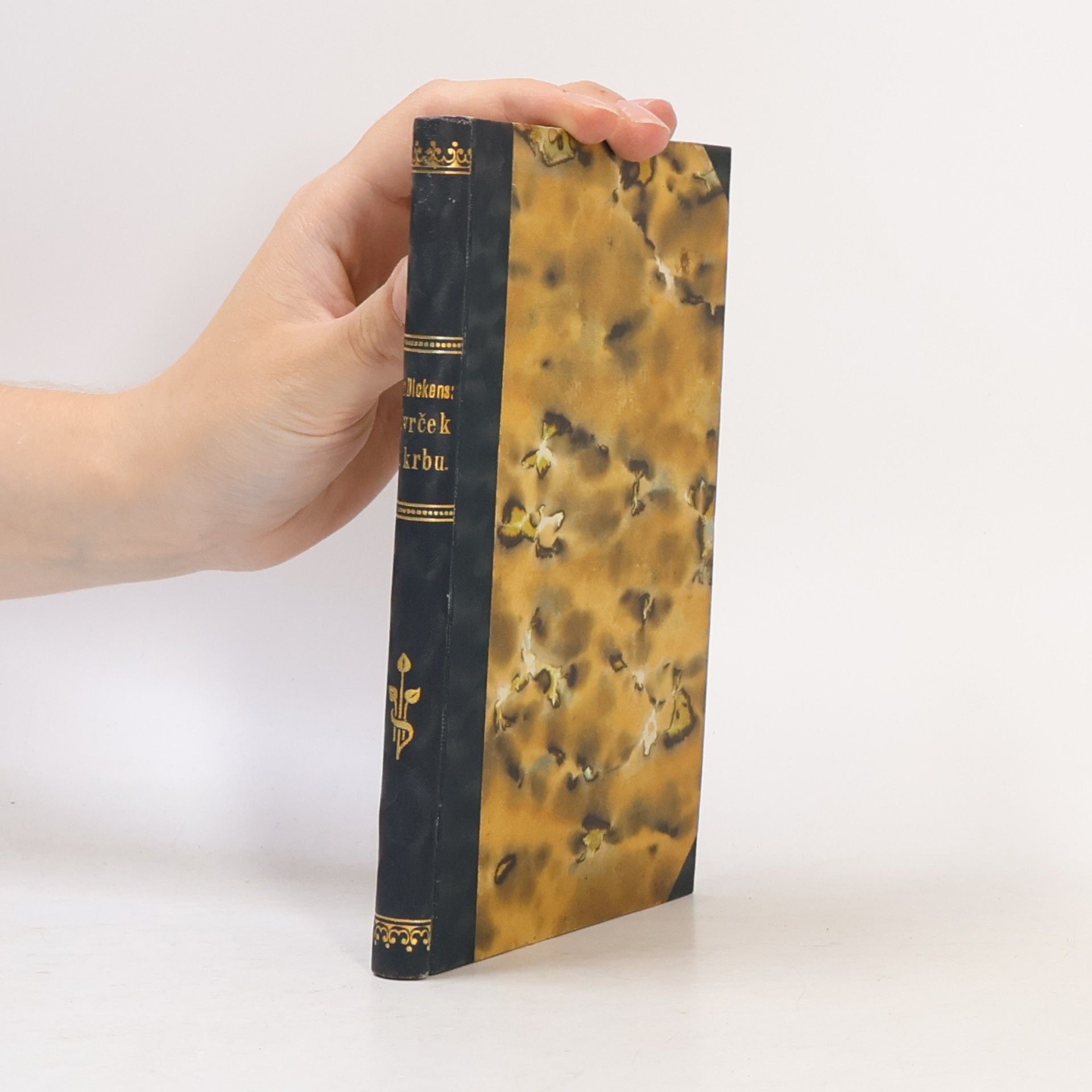 Charles Dickens Cvrček na krbu
