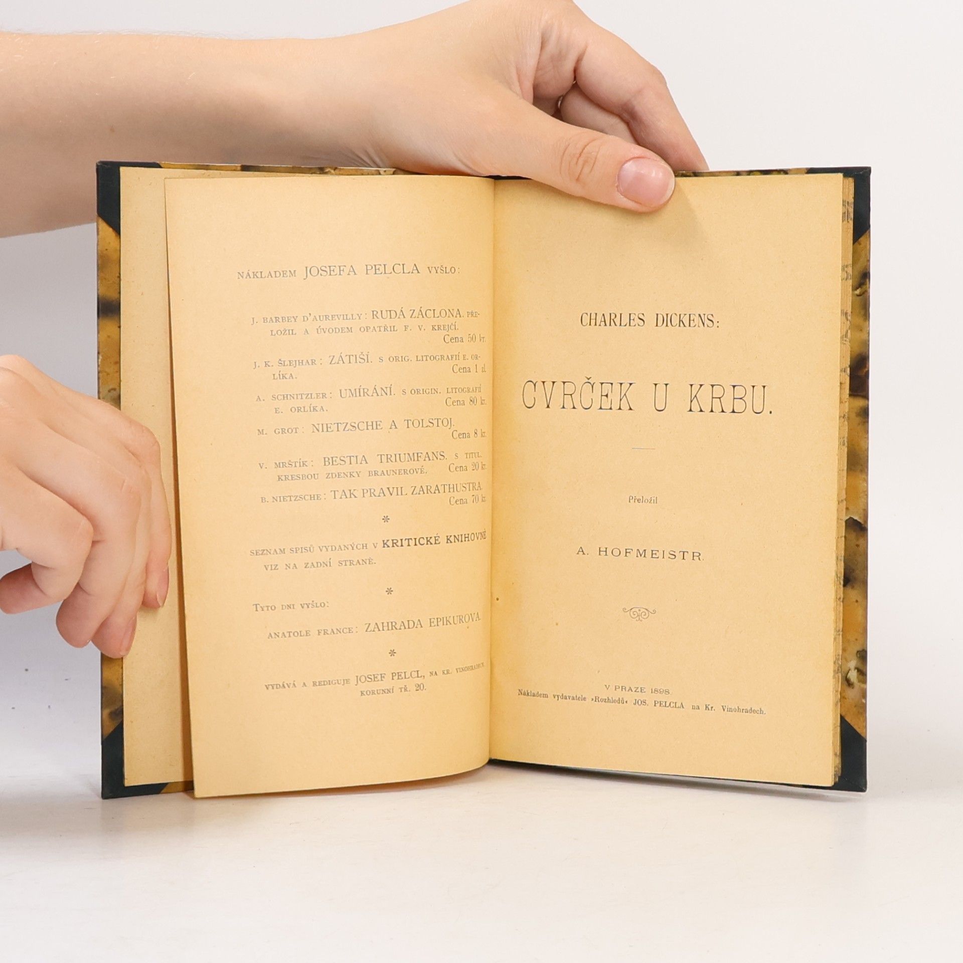 Charles Dickens Cvrček na krbu