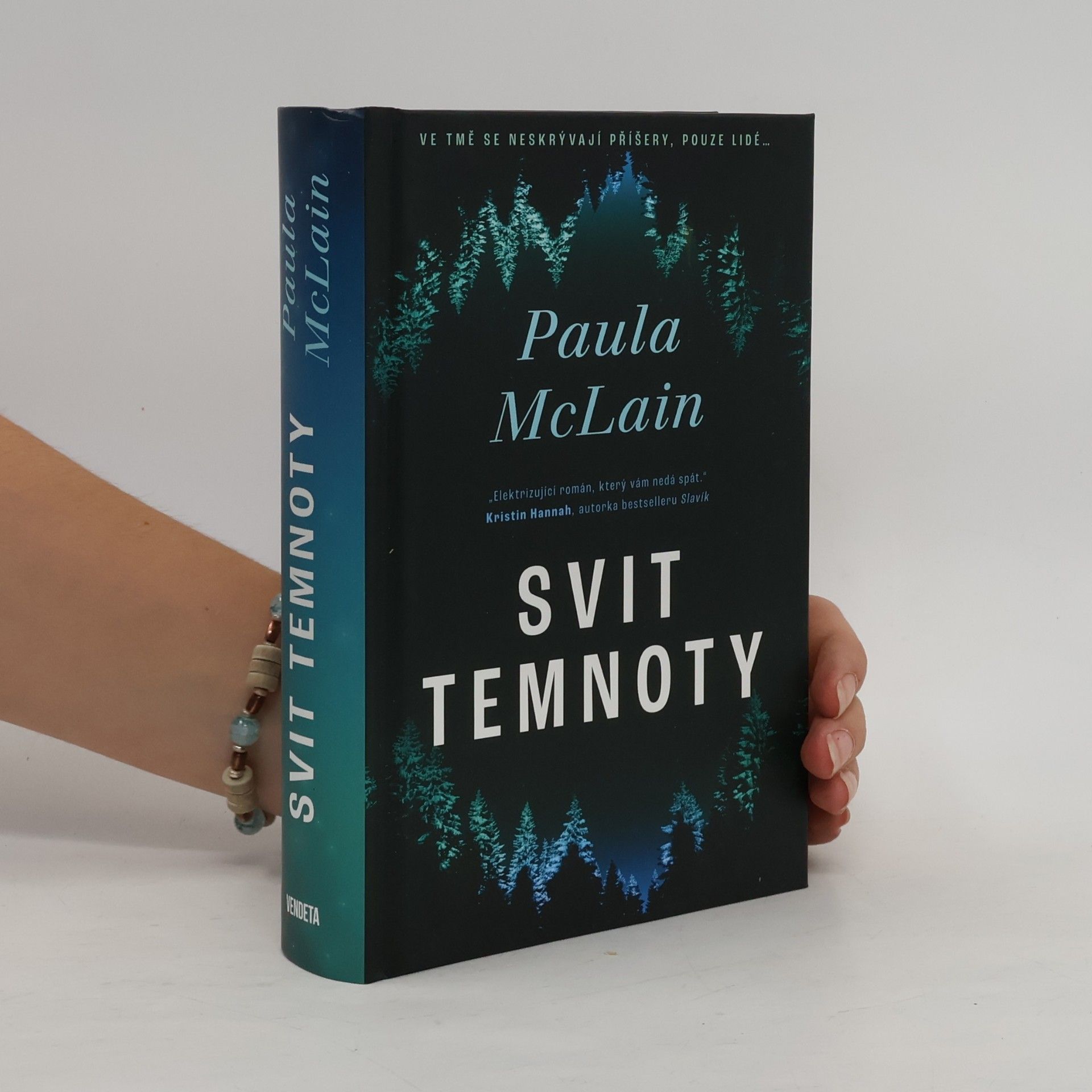 Paula McLain Svit temnoty