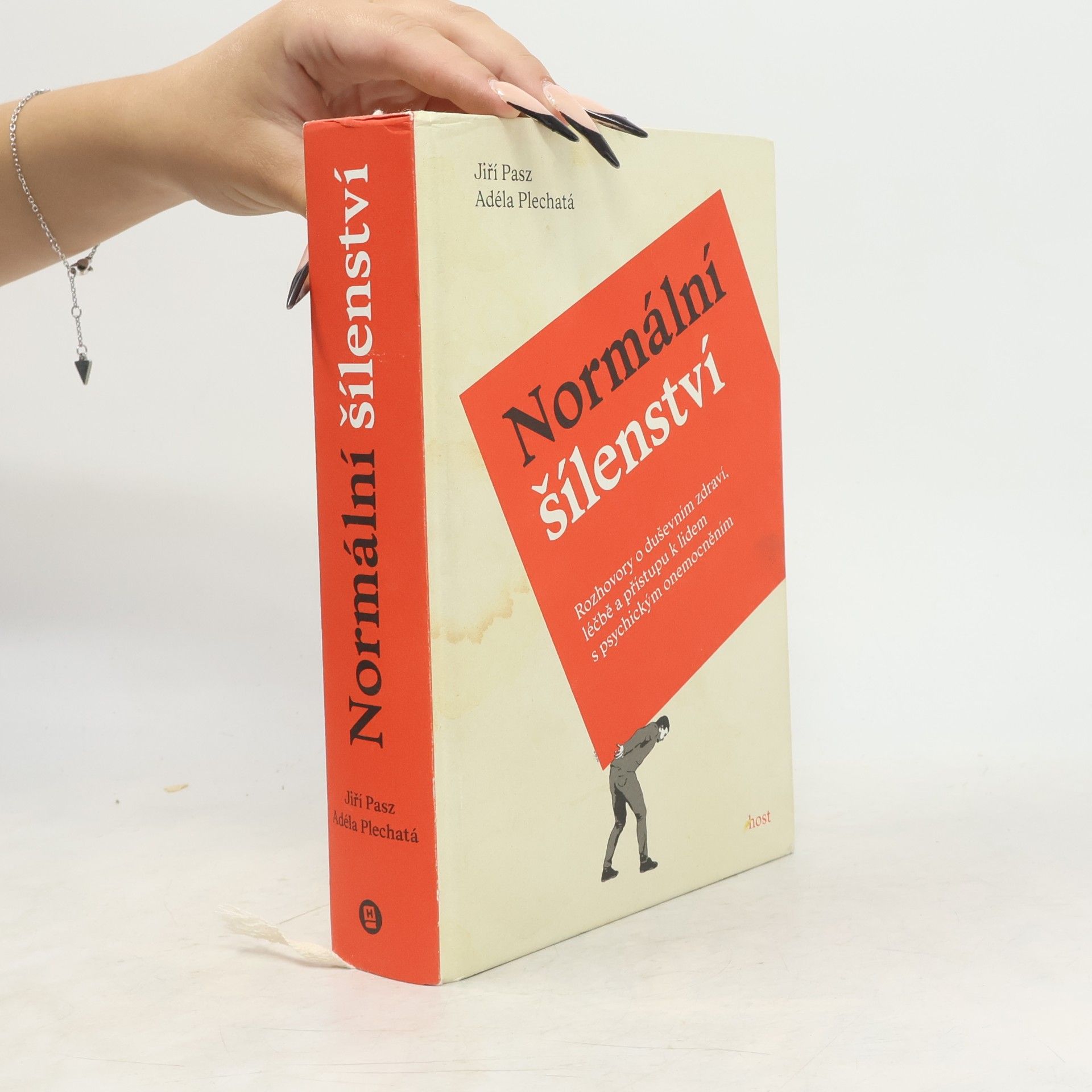 Adéla Plechatá Normální šílenství