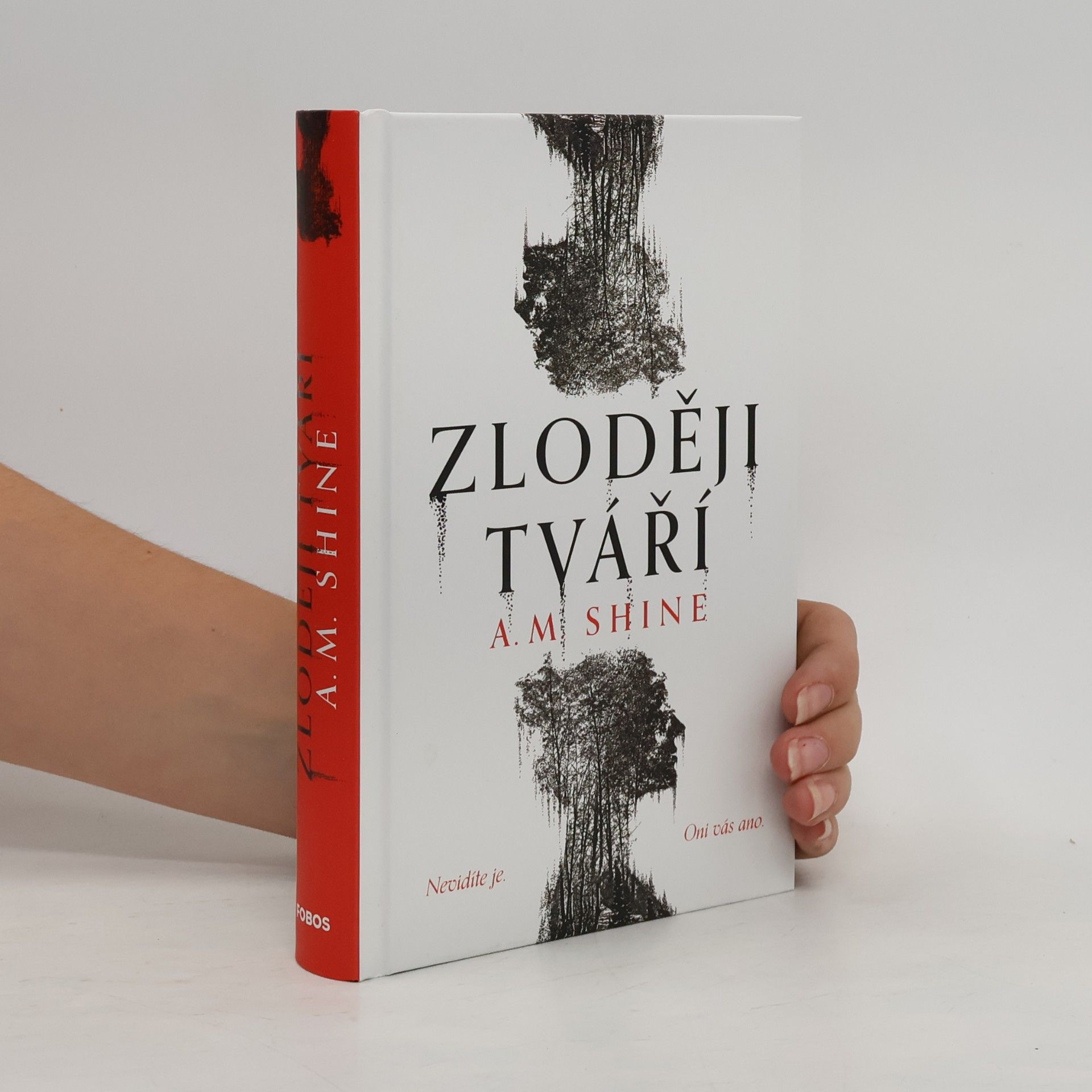 Betty Shine Zloději tváří
