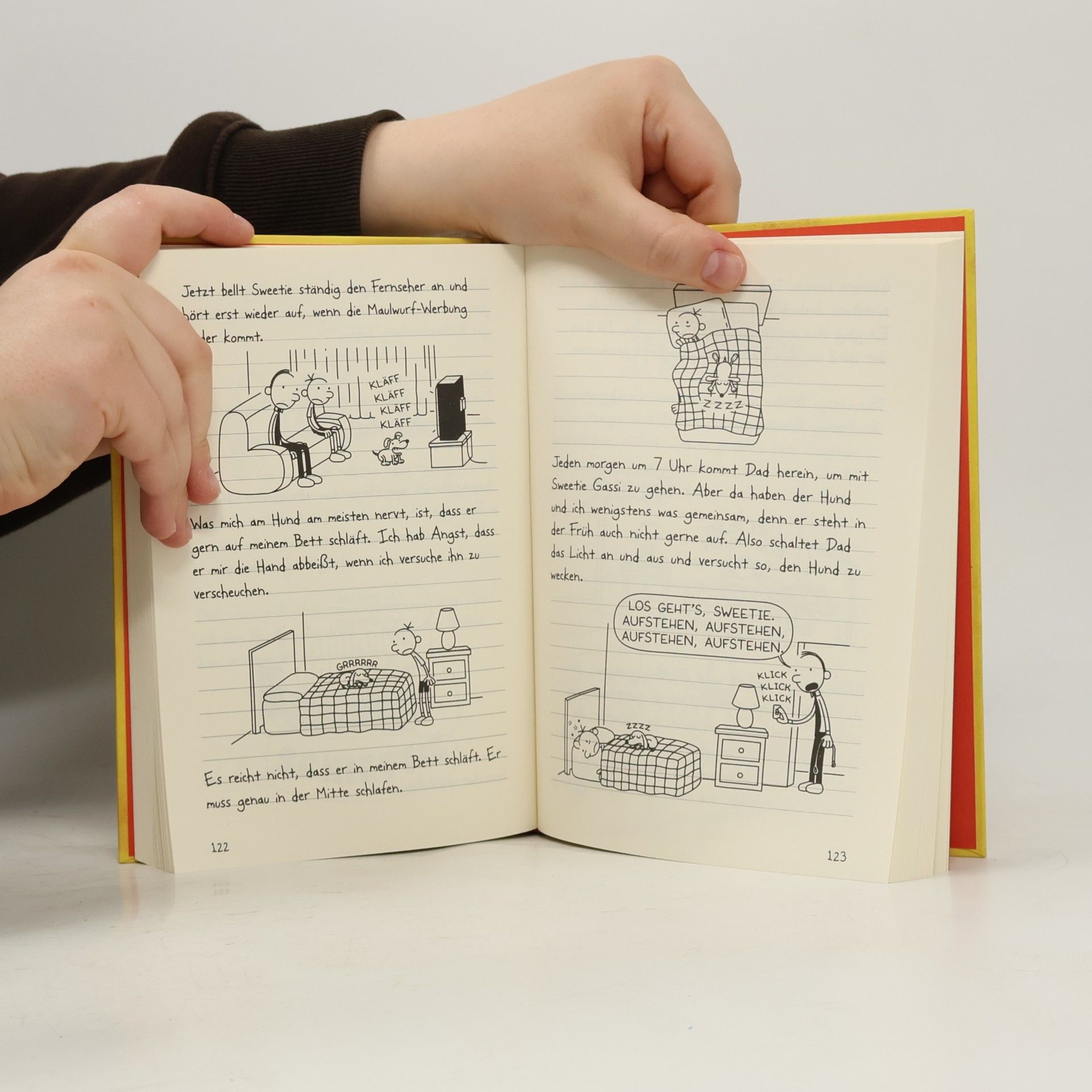 Jeff Kinney Gregs Tagebuch 4. Ich war's nicht!
