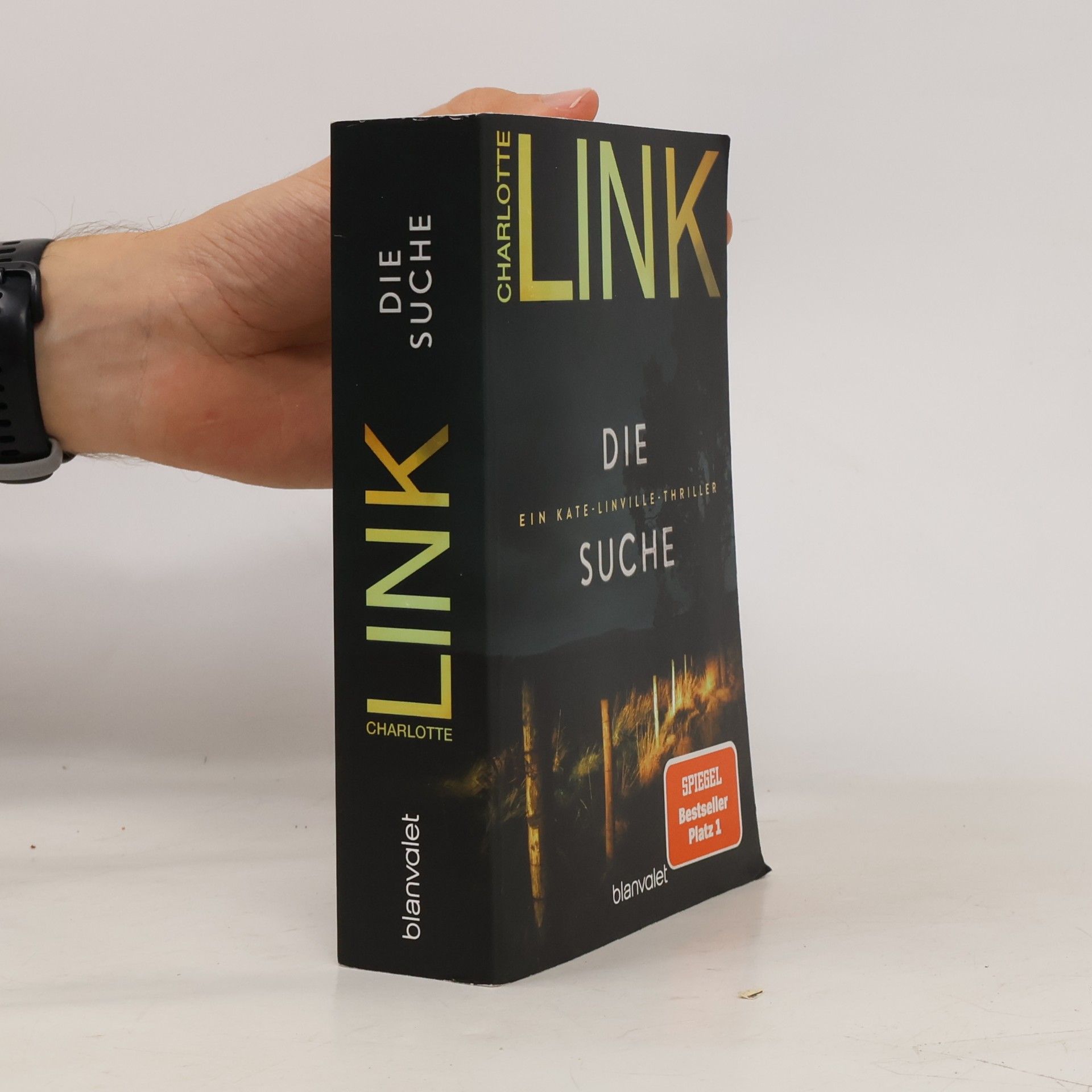 Charlotte Link Kate-Linville-Thriller - 2: Die Suche