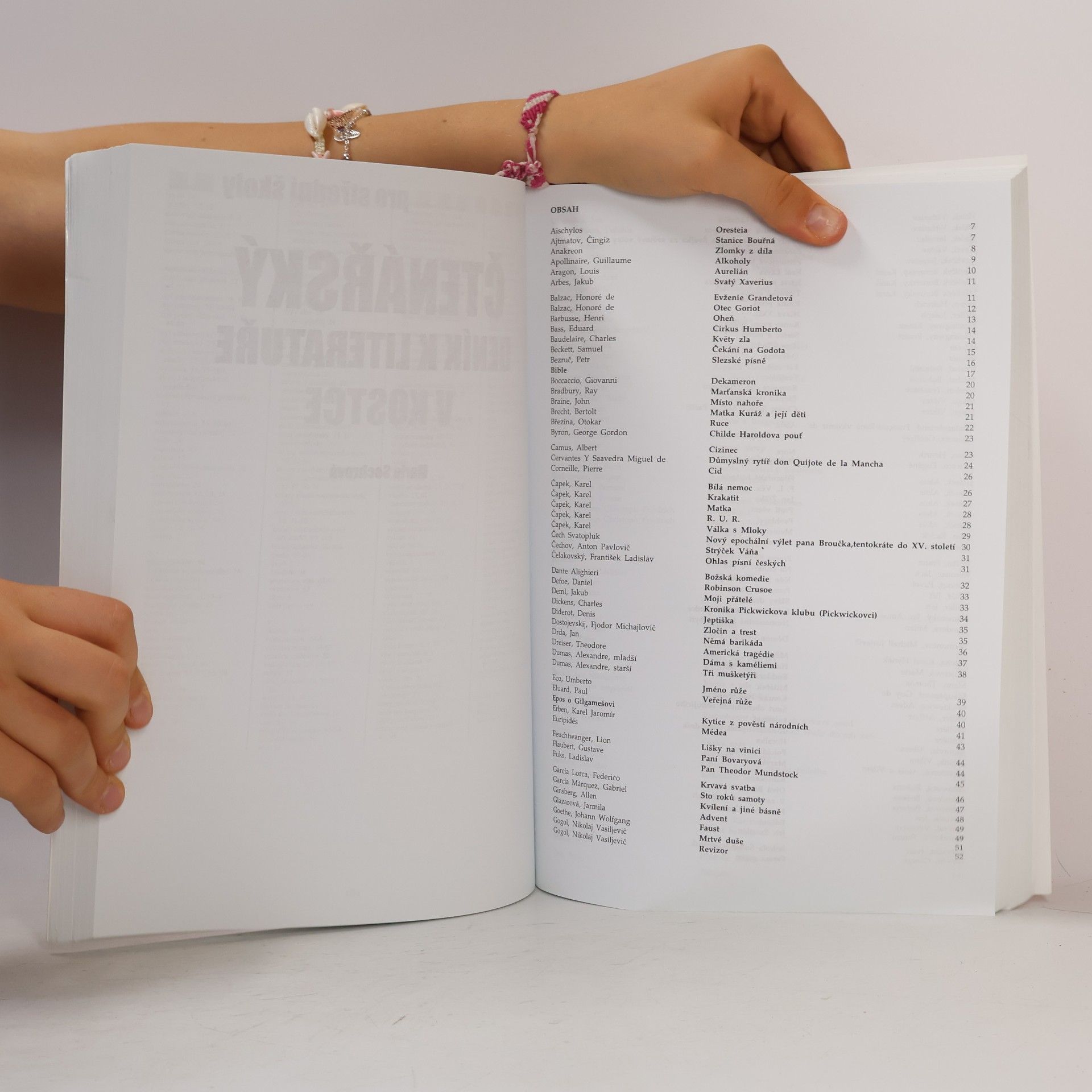 Marie Sochrová Český jazyk a literatura. Literatura, český jazyk, čtenářský deník, cvičení z českého jazyka