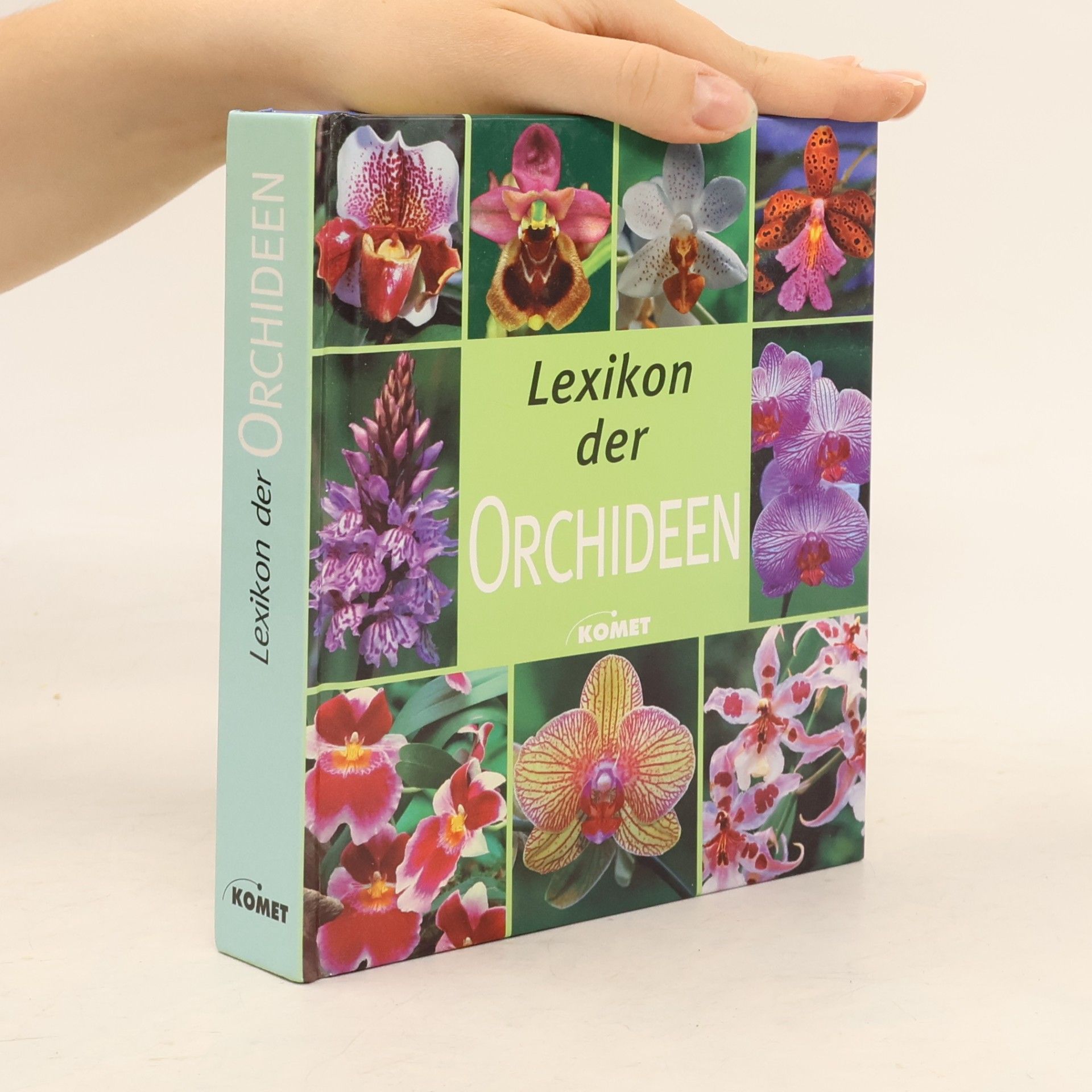 Autorenkollektiv Lexikon der Orchideen