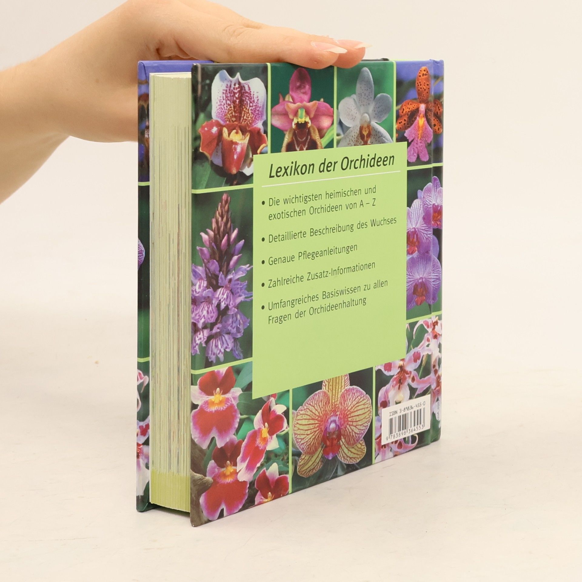 Lexikon der Orchideen