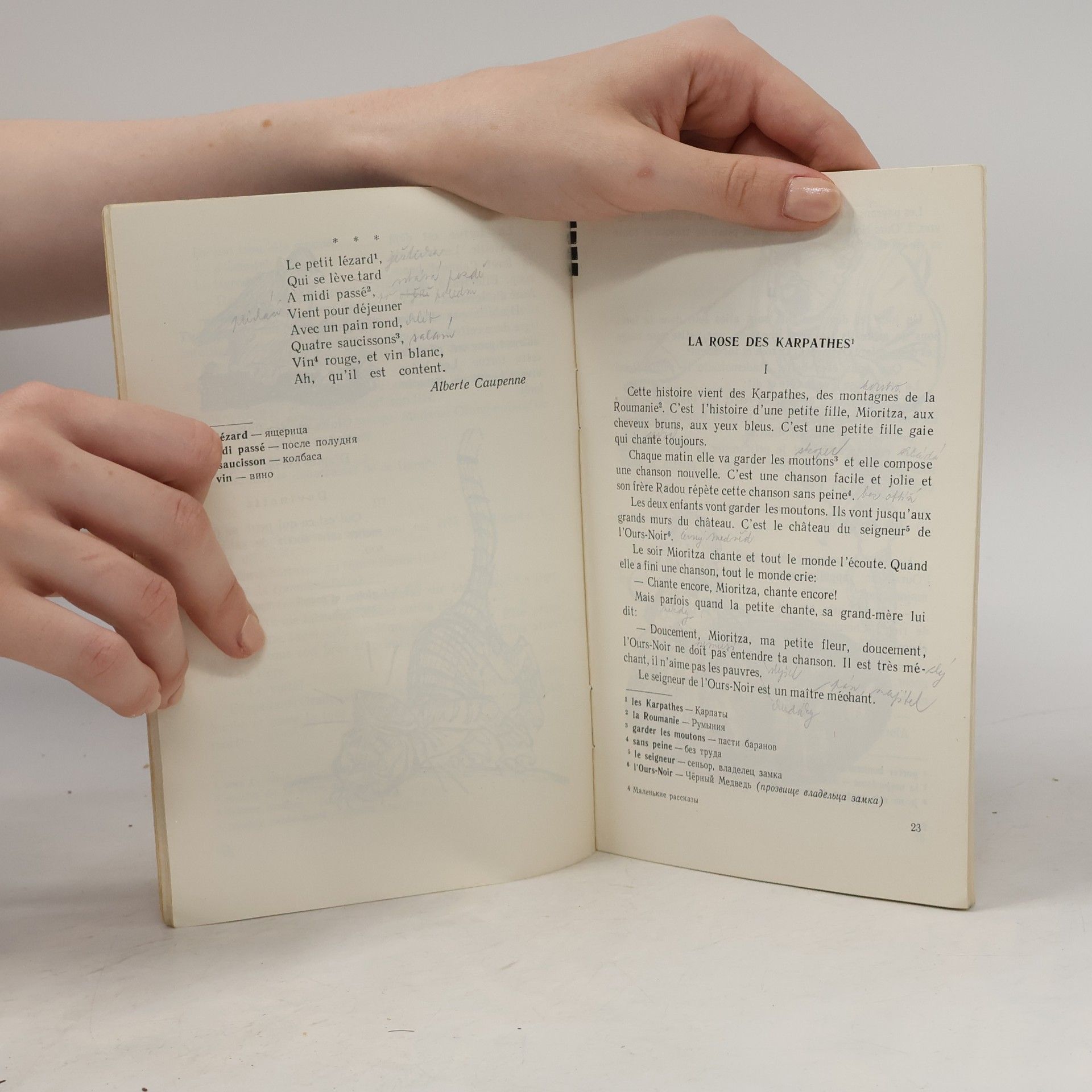 Collectif d'auteurs Petites histoires