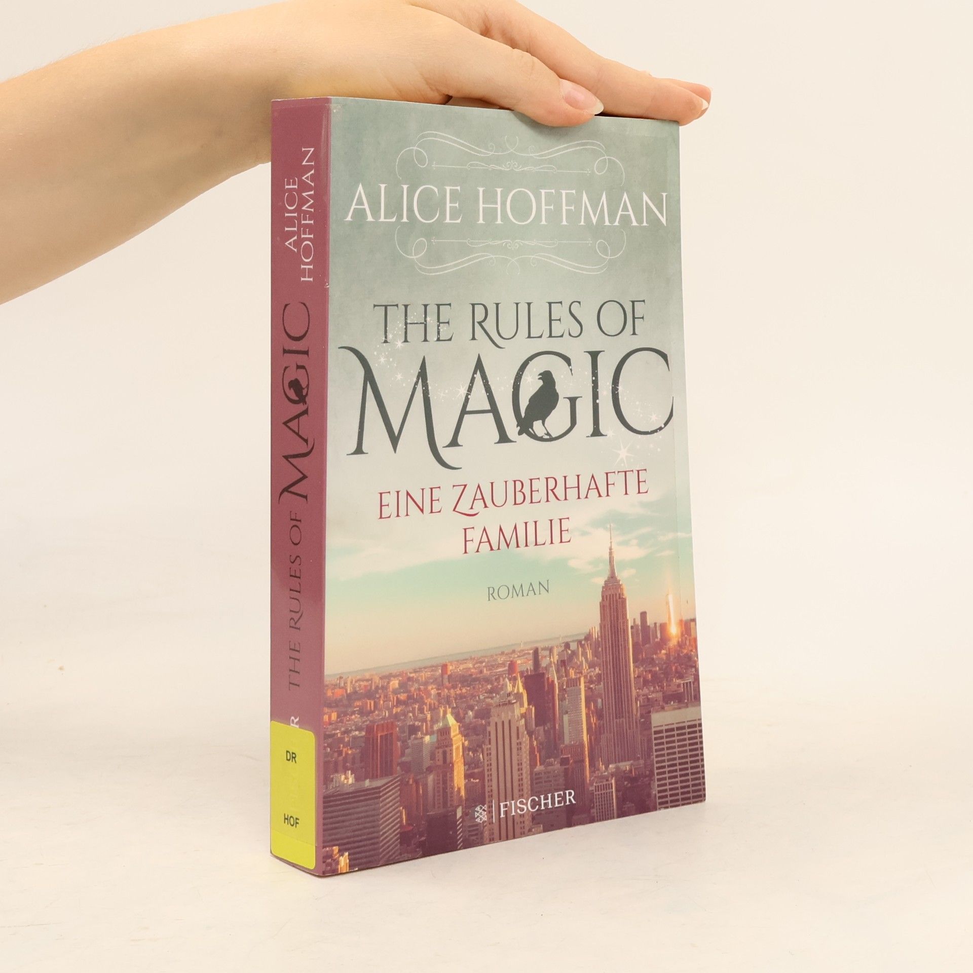 Alice Hoffman The Rules of Magic: Eine zauberhafte Familie