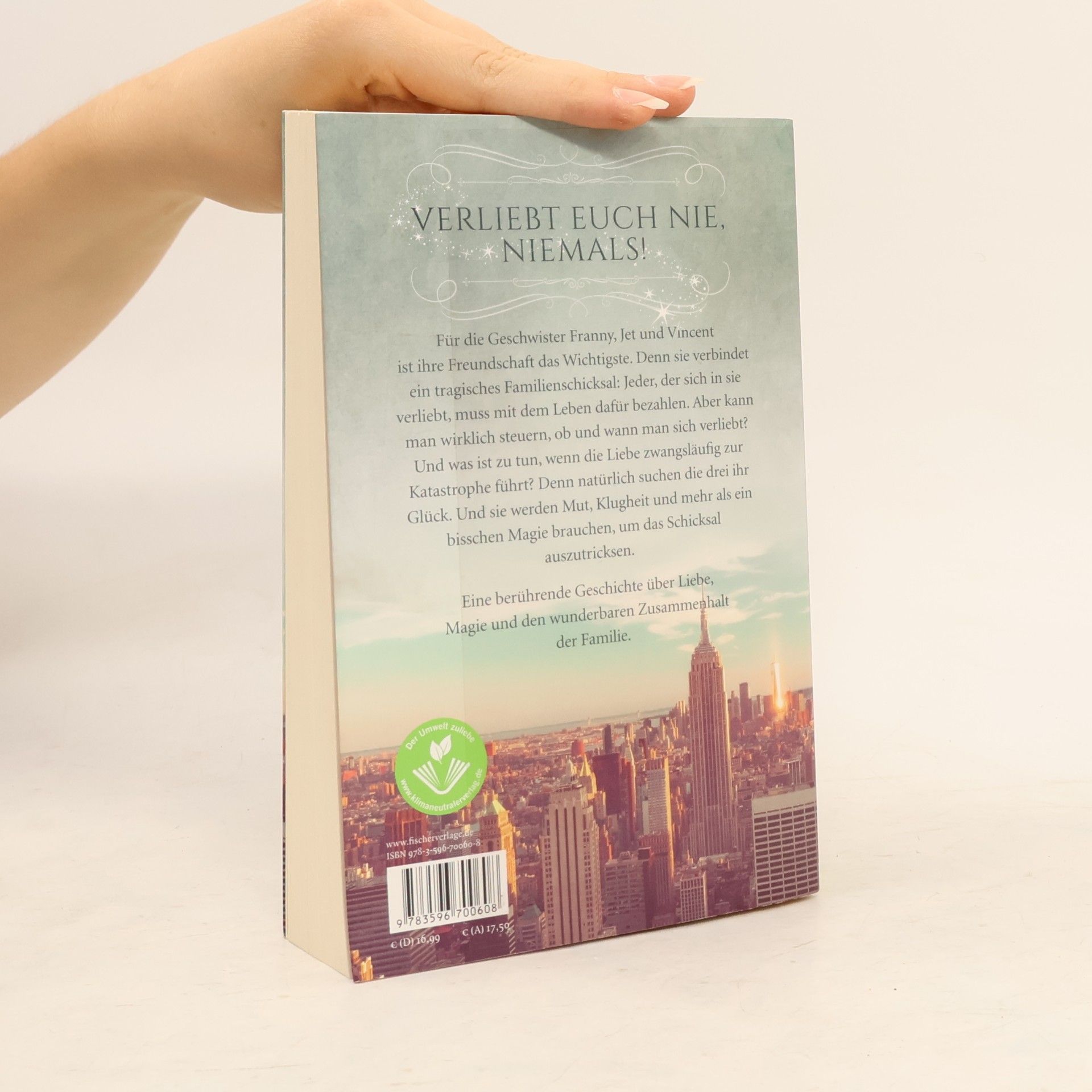 Alice Hoffman The Rules of Magic: Eine zauberhafte Familie