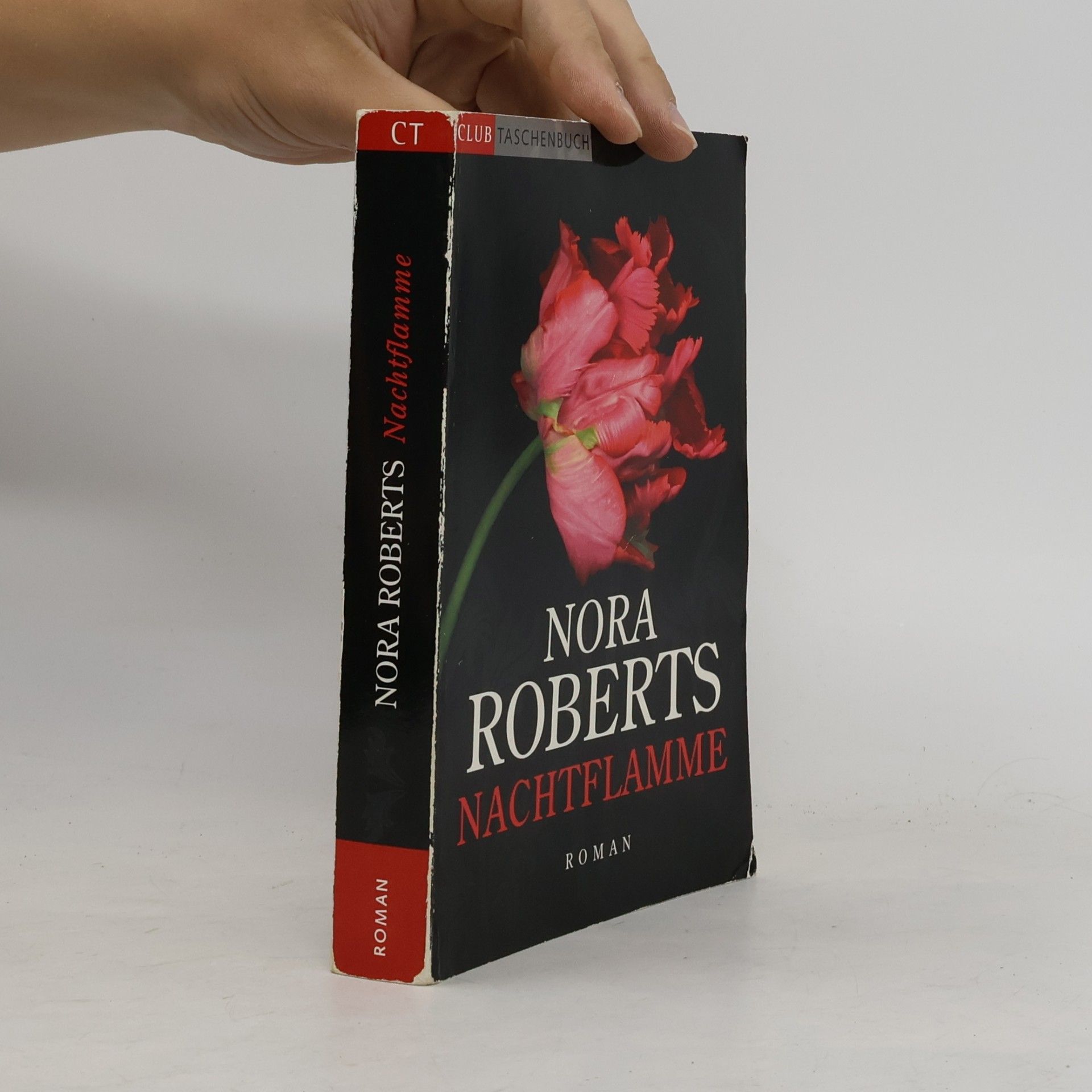 Nora Roberts Nachtflamme