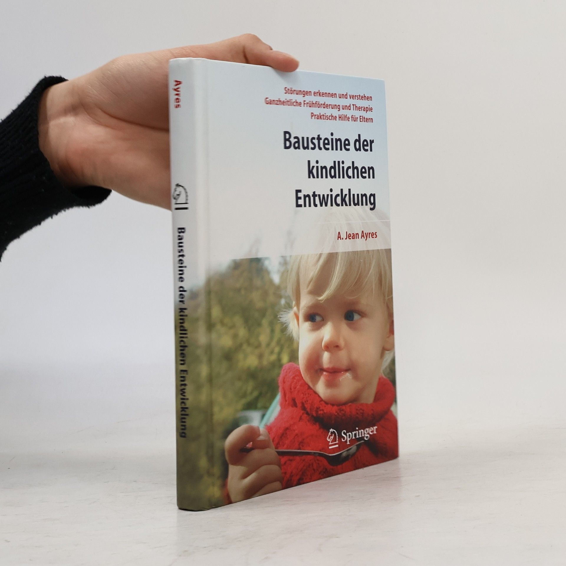 Anna Jean Ayres Bausteine der kindlichen Entwicklung