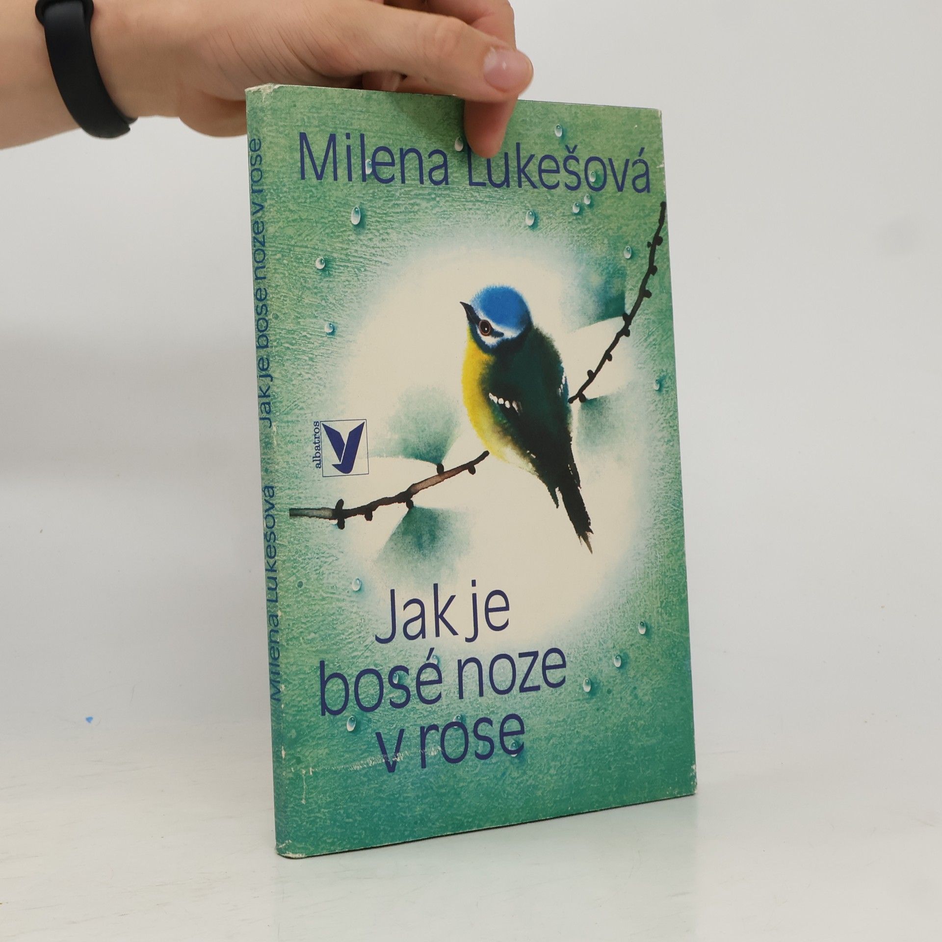 Jitka Walterová Jak je bosé noze v rose
