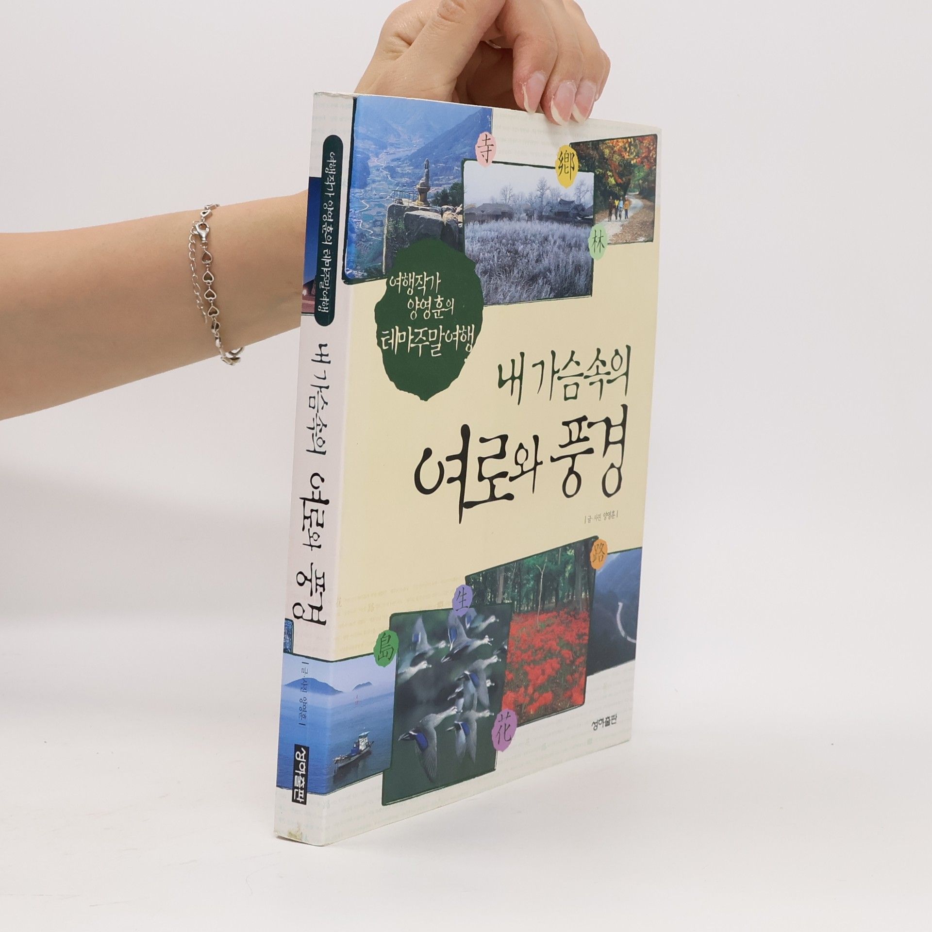 양영훈 내 가슴속의 여로와 풍경