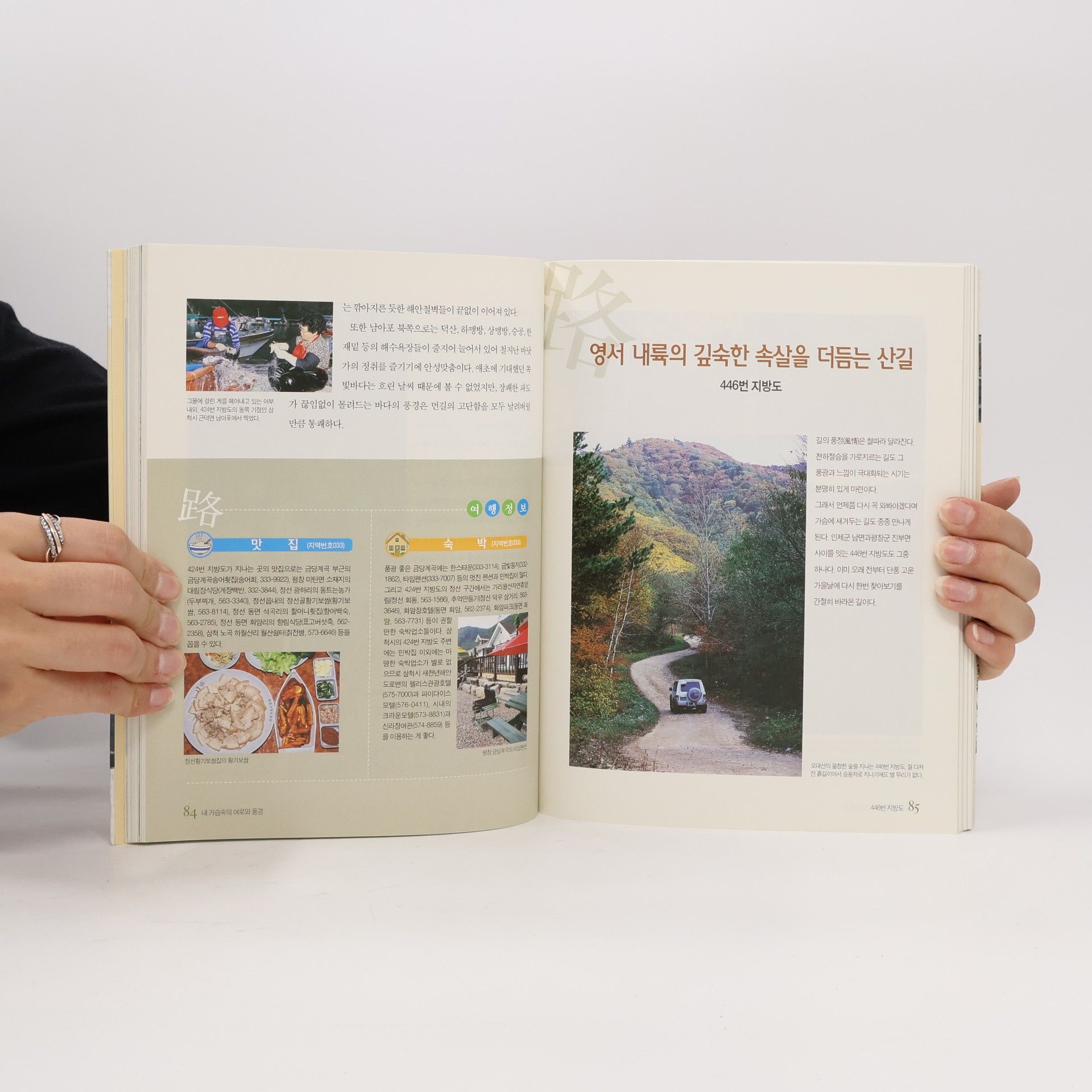 양영훈 내 가슴속의 여로와 풍경