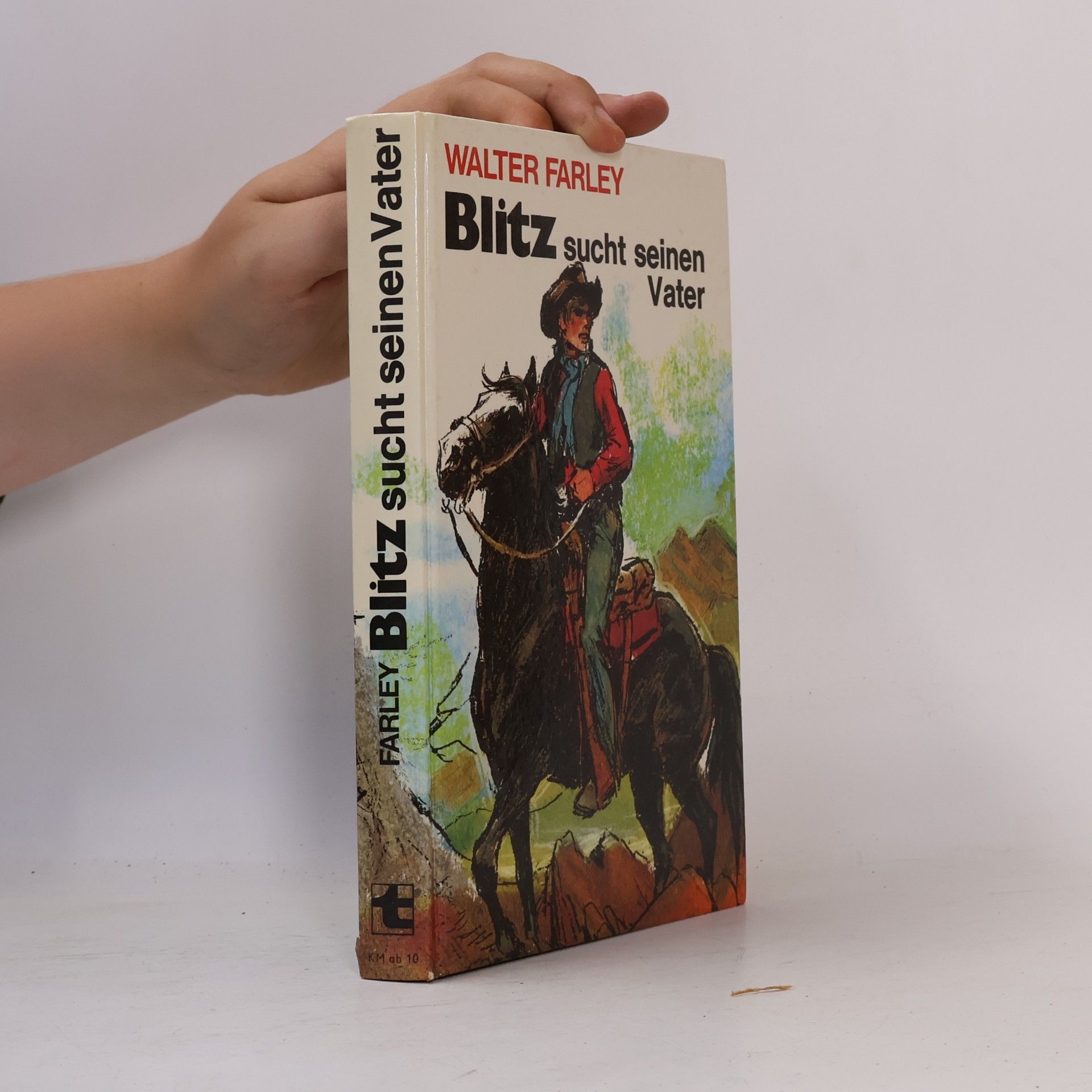 Walter Farley Blitz sucht seinen Vater