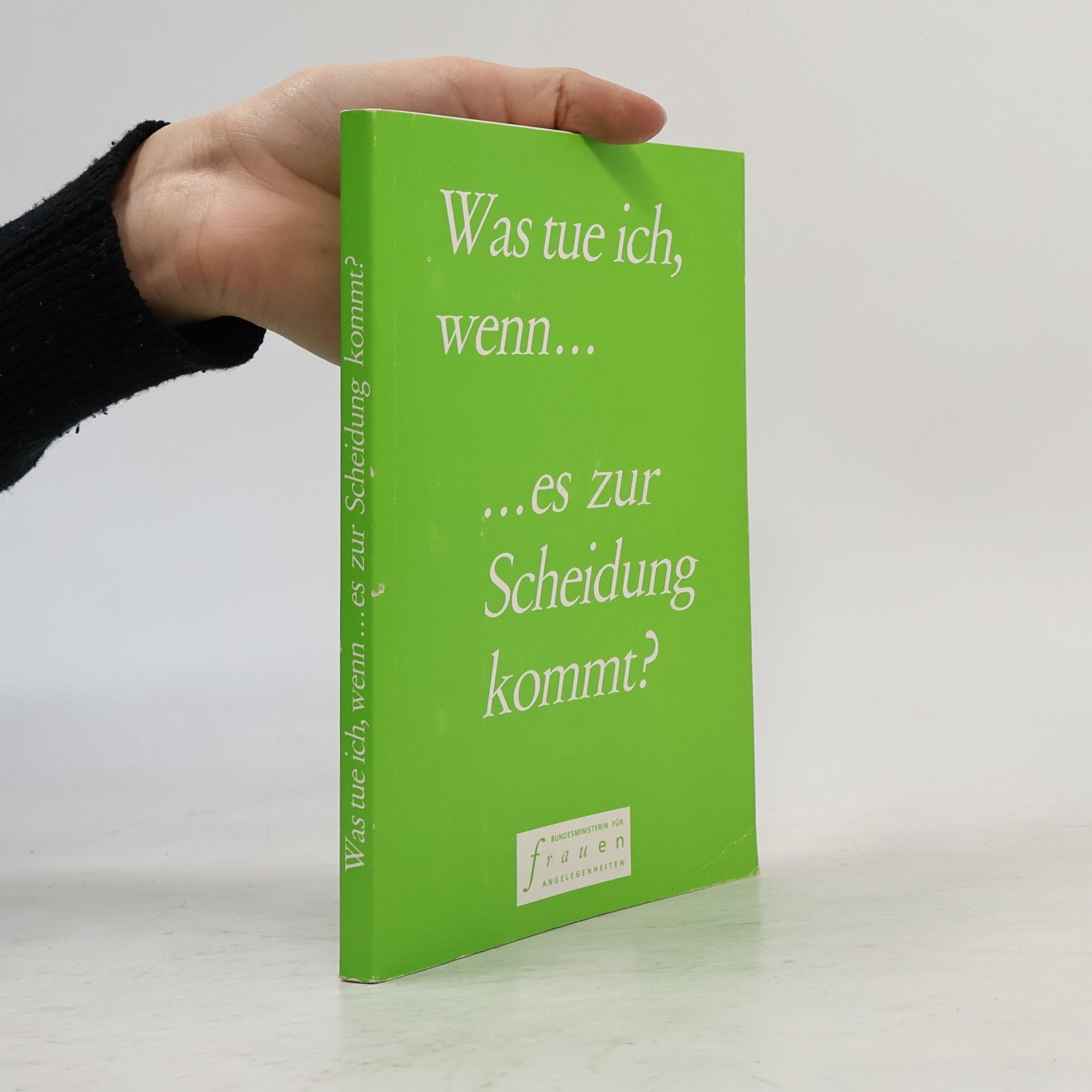 Johanna Dohnal Was tue ich, wenn...es zur Scheidung kommt?