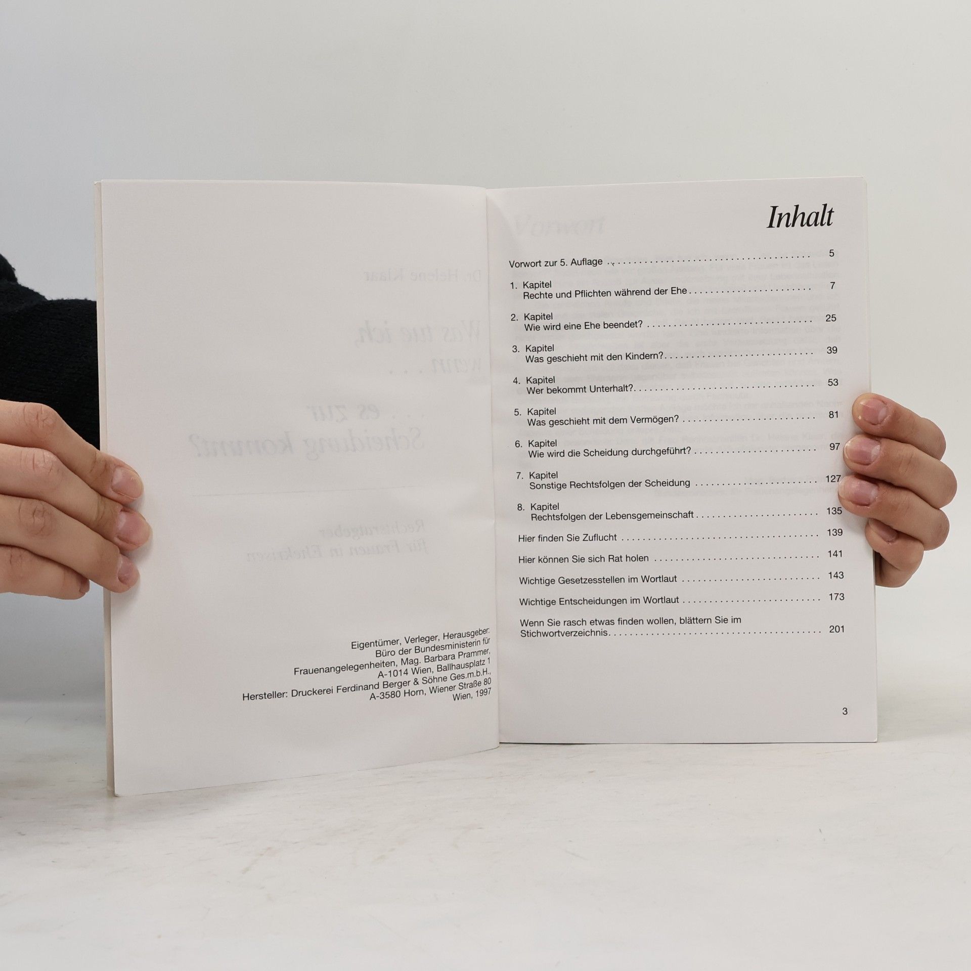 Johanna Dohnal Was tue ich, wenn...es zur Scheidung kommt?