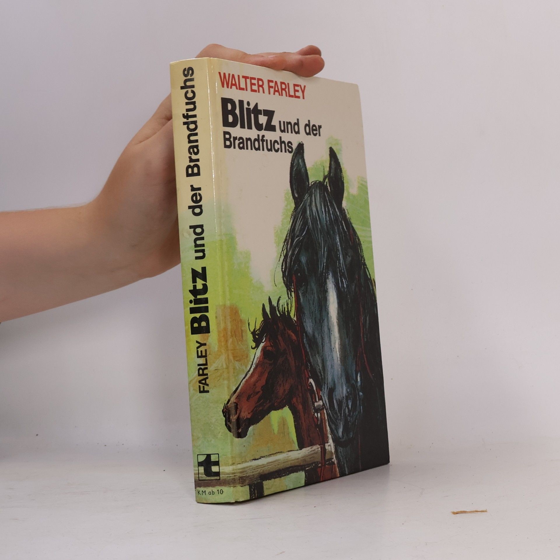 Walter Farley Blitz und der Brandfuchs