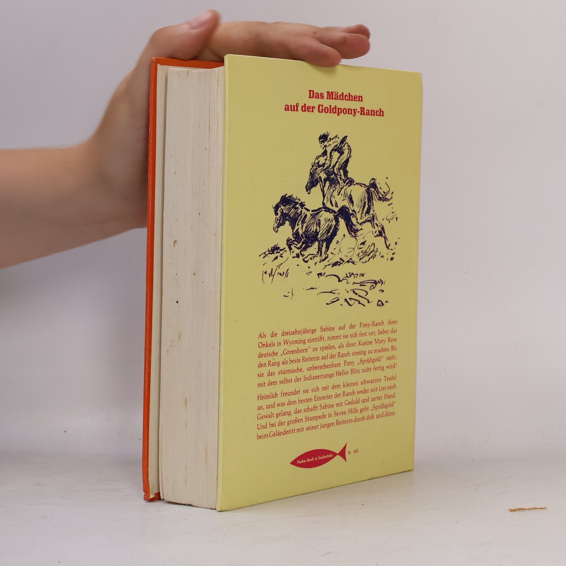 Rolf Ulrici Das Mädchen auf der Goldpony-Ranch