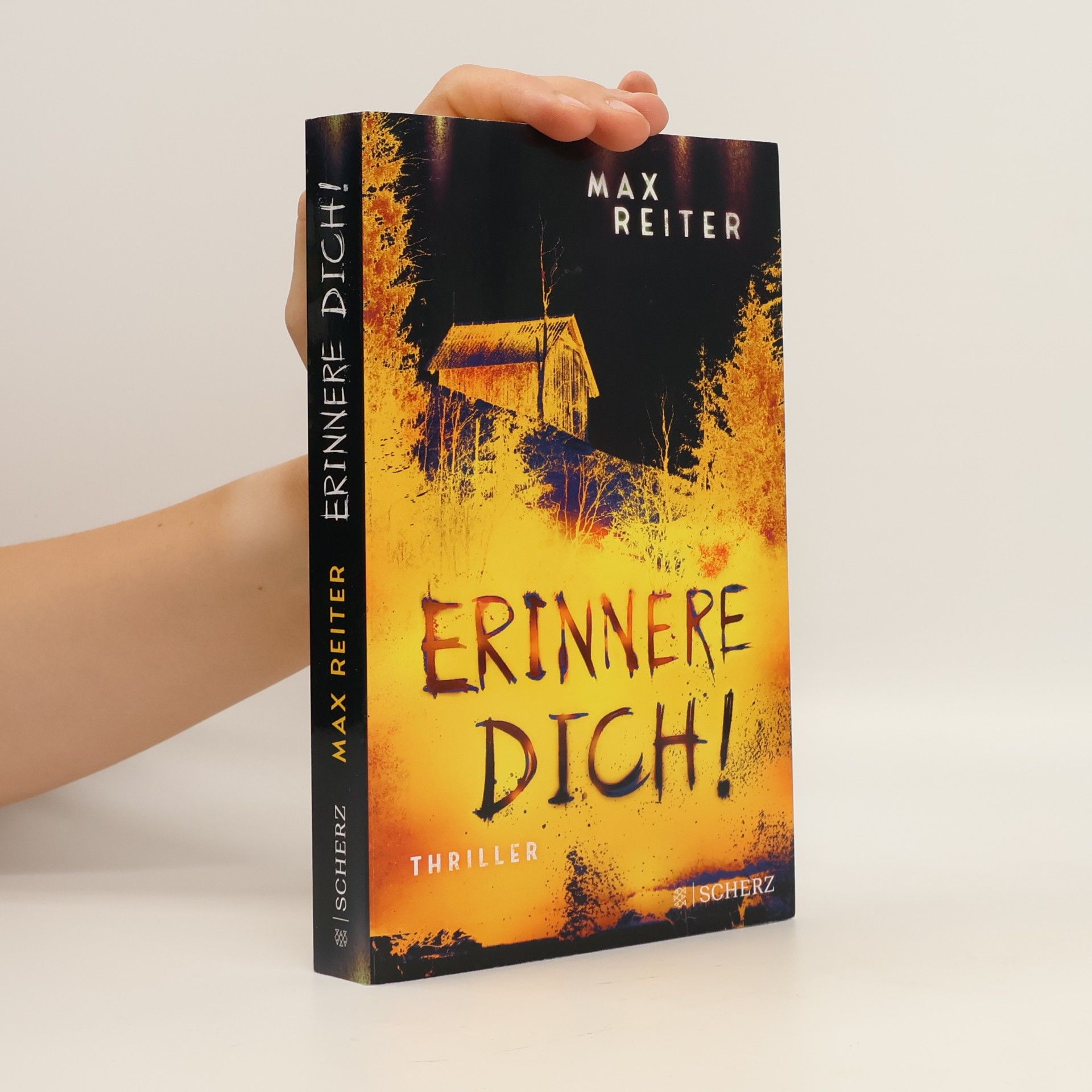 Max Reiter Erinnere dich!