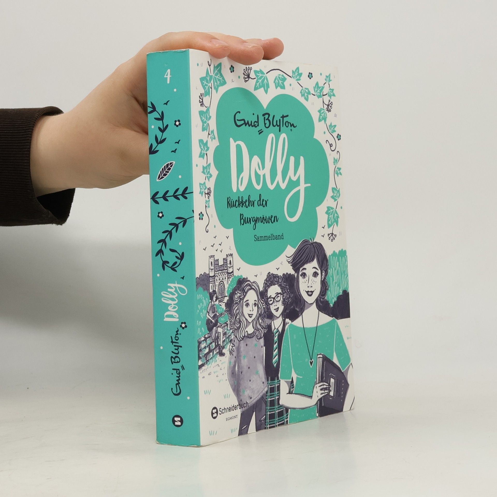 Enid Blyton Rückkehr der Burgmöwen