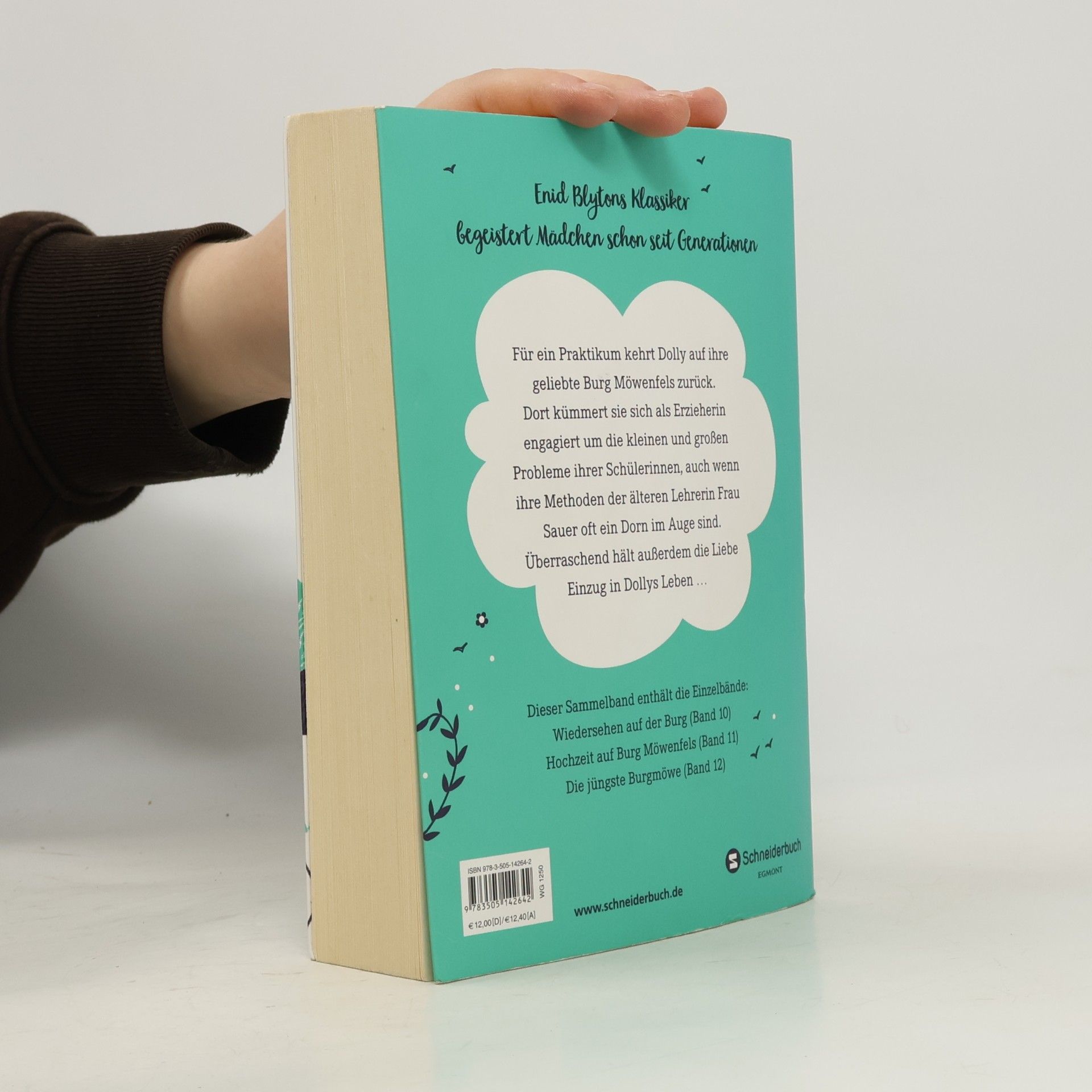 Enid Blyton Rückkehr der Burgmöwen