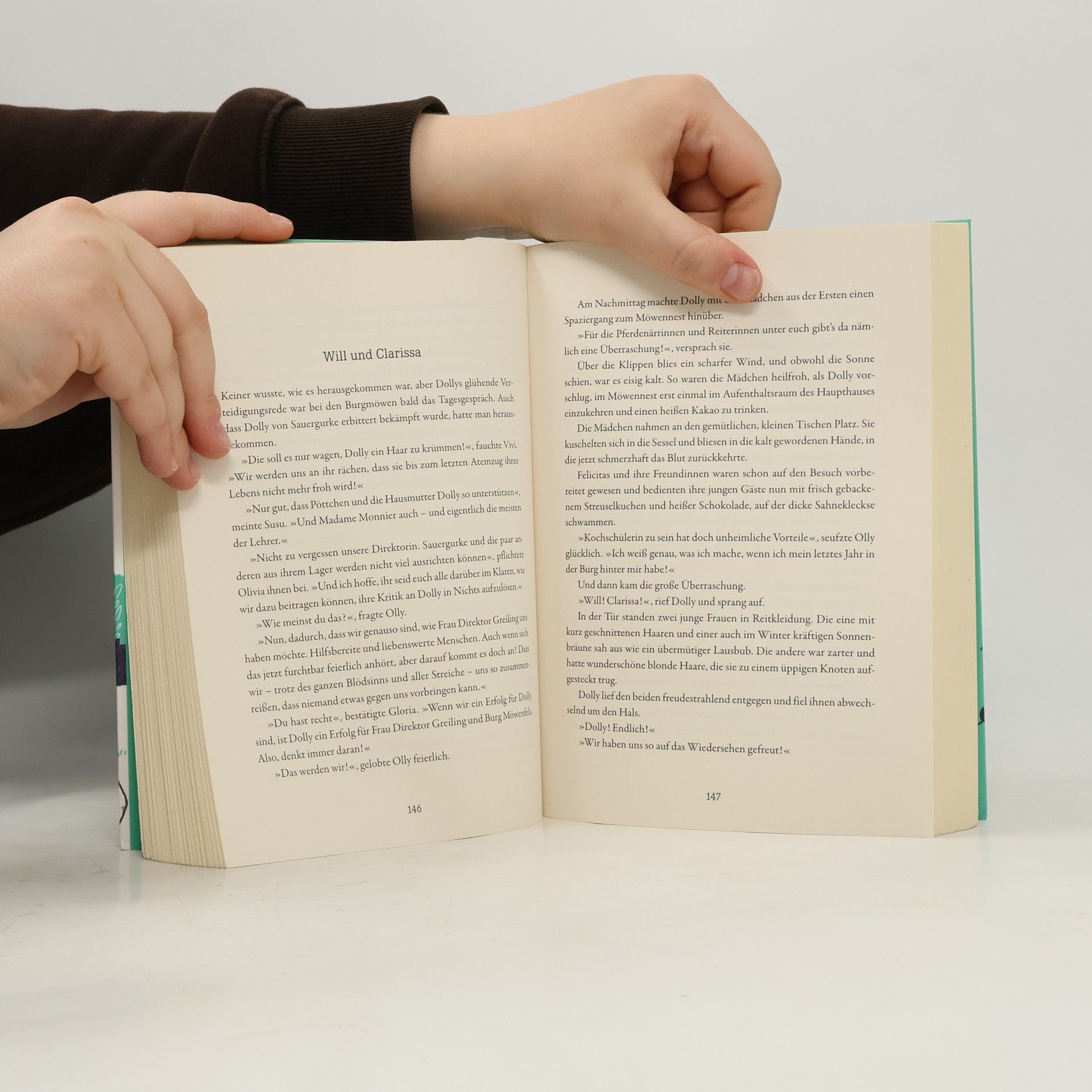 Enid Blyton Rückkehr der Burgmöwen